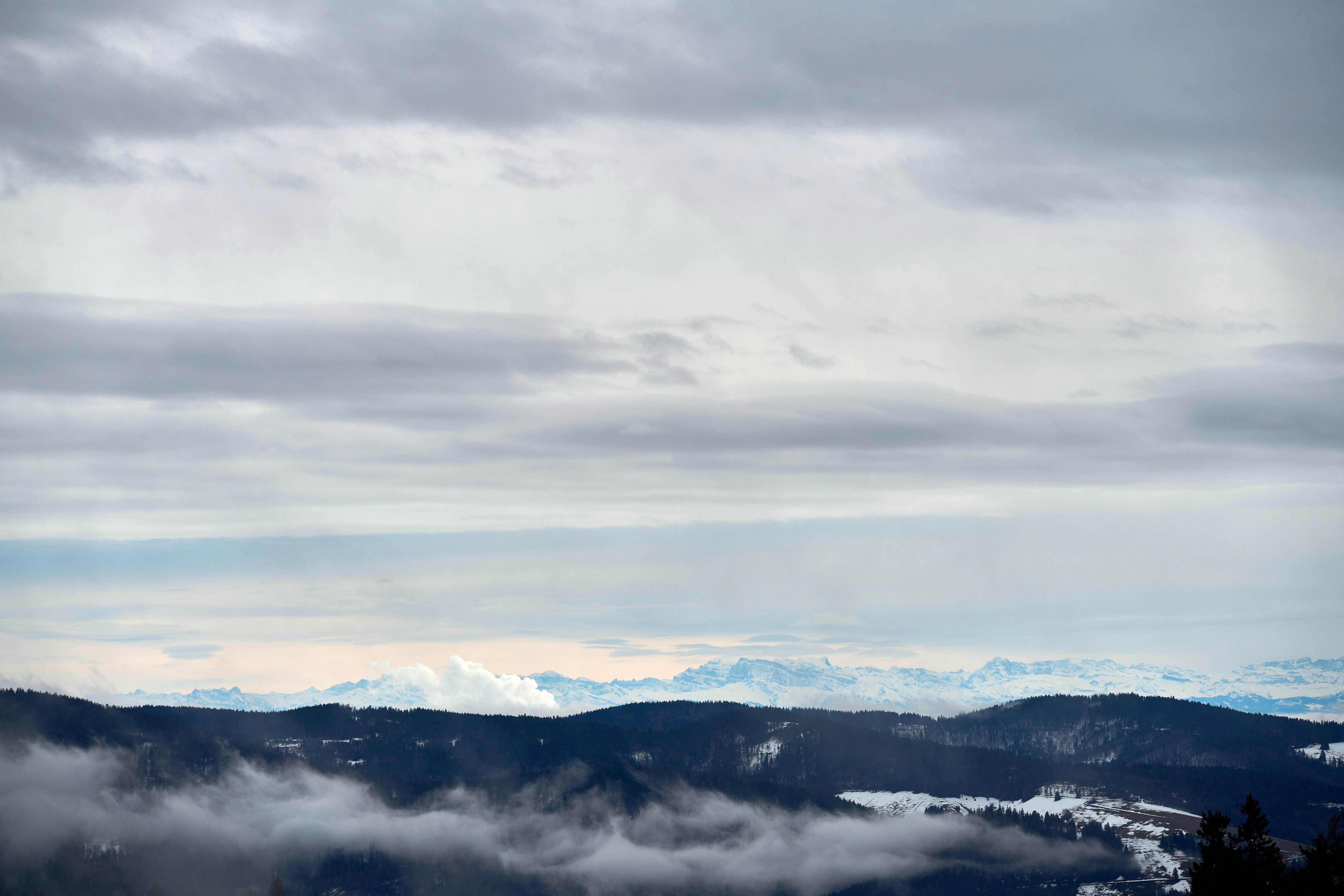 Photo by wolfgang_hasselmann