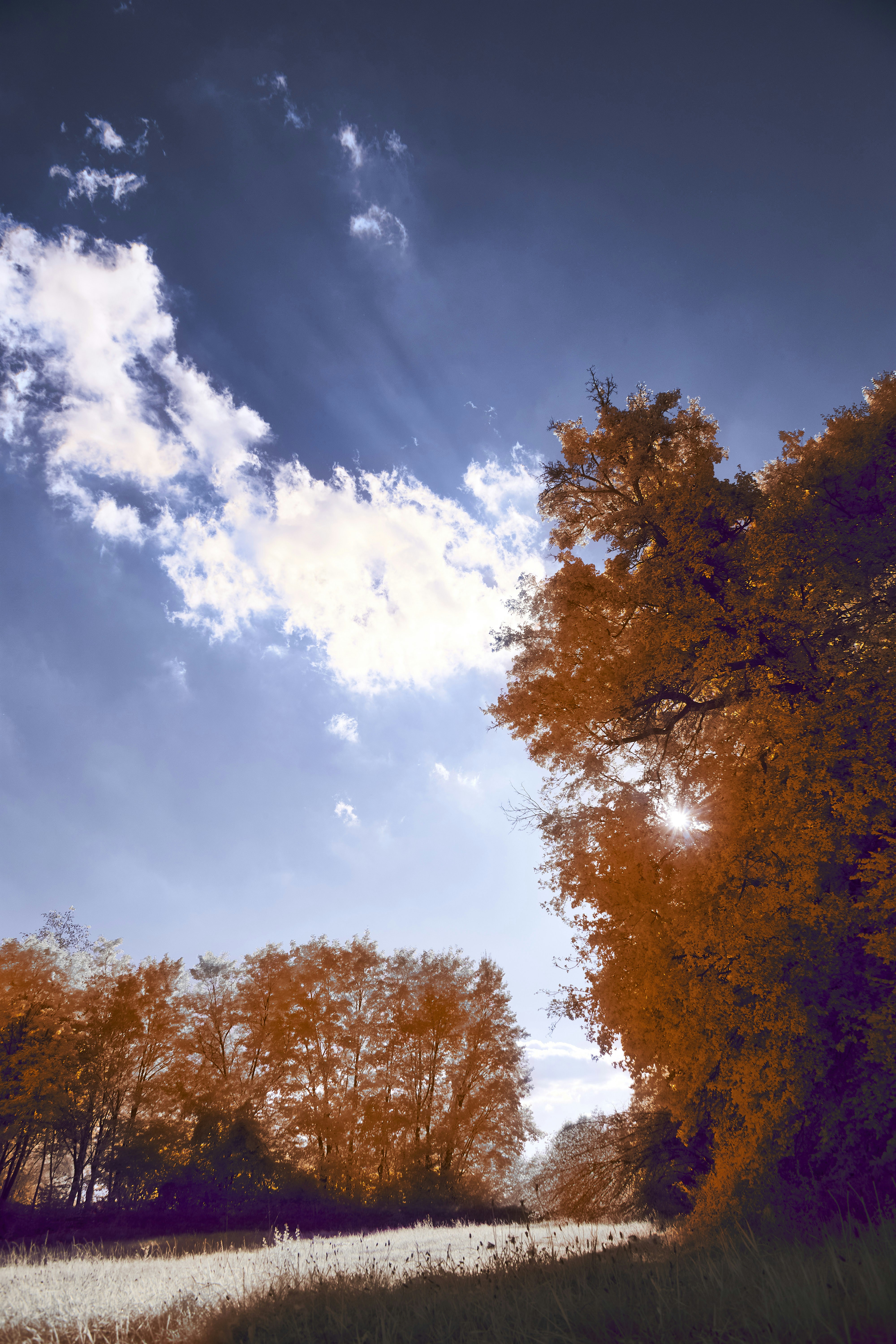 Photo by wolfgang_hasselmann