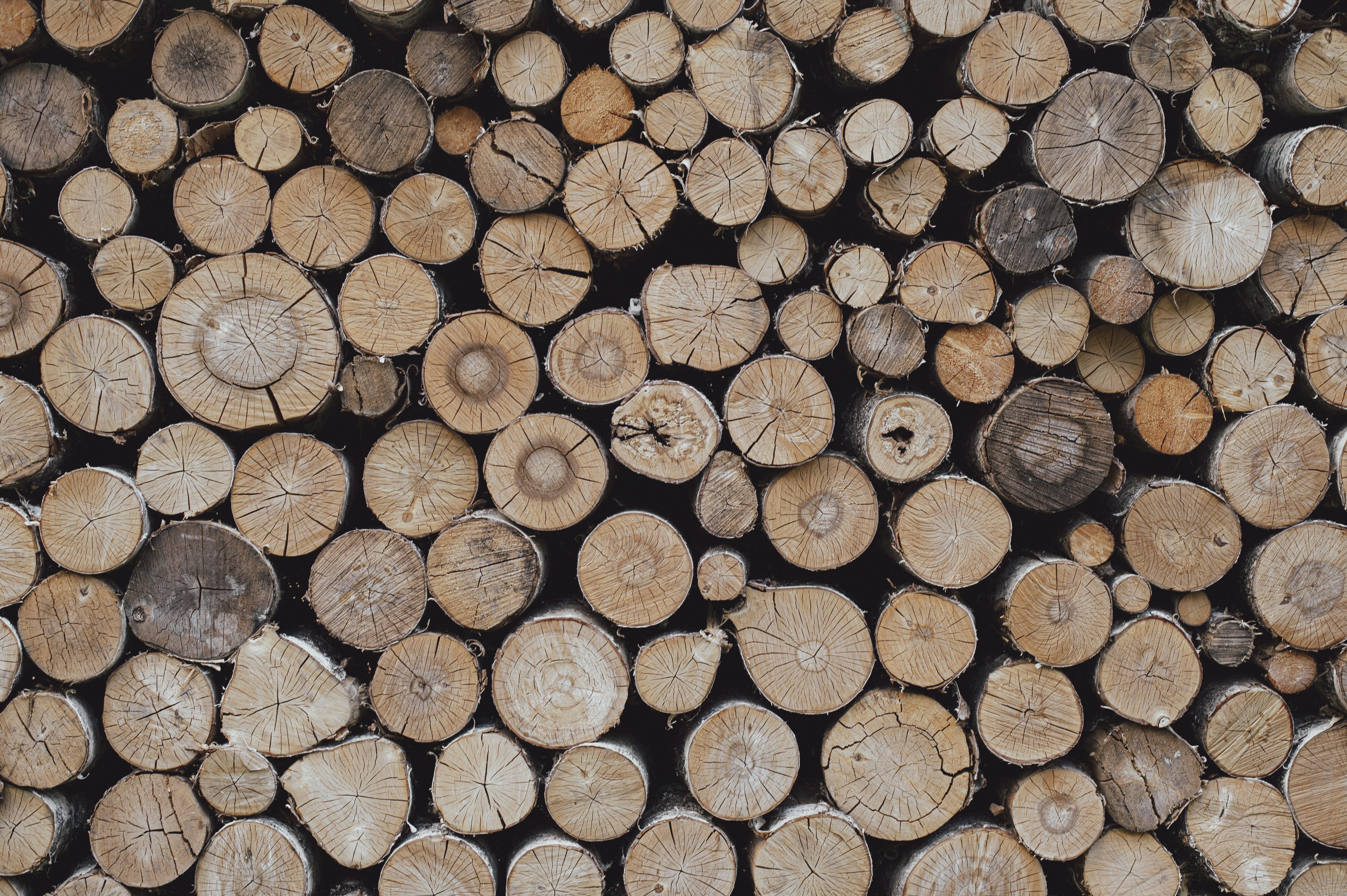 a pile of cut logs
