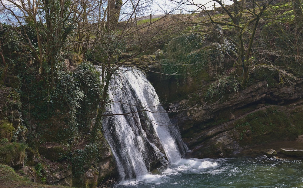 a waterfall in a forest