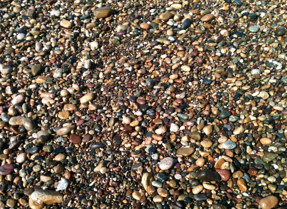 a close up of a beach