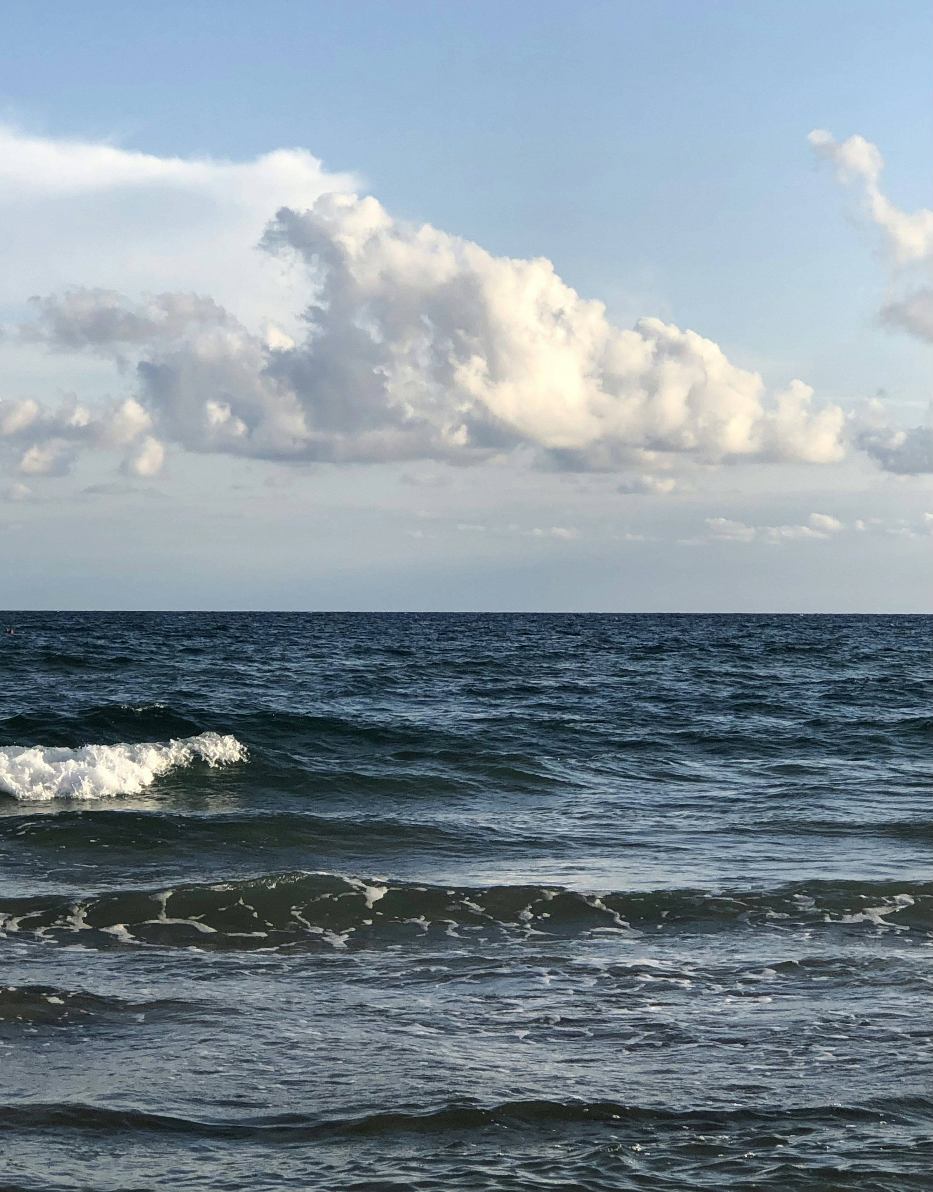 Photo by paolo_gregotti