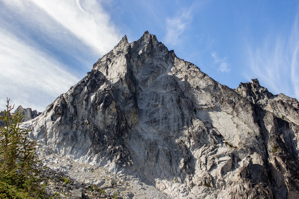 a rocky mountain with trees