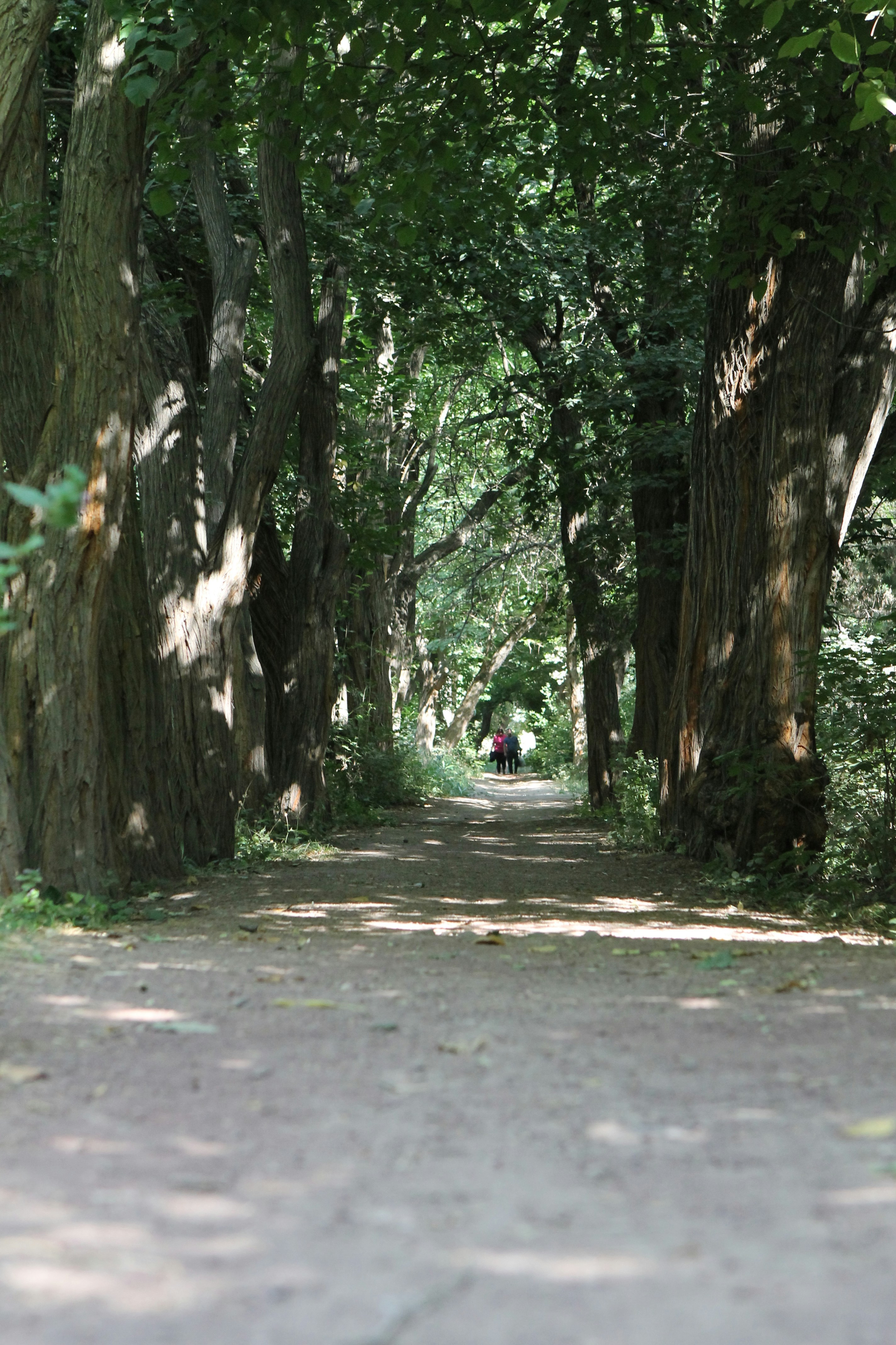 Photo by georgeishot