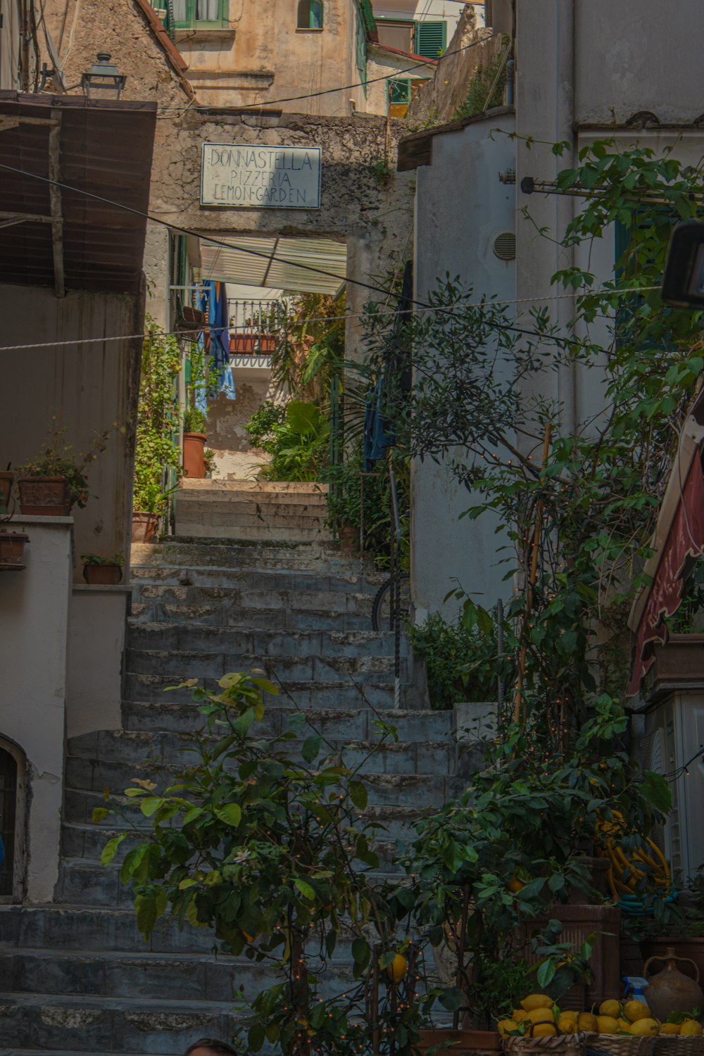 a stone staircase with plants and buildings