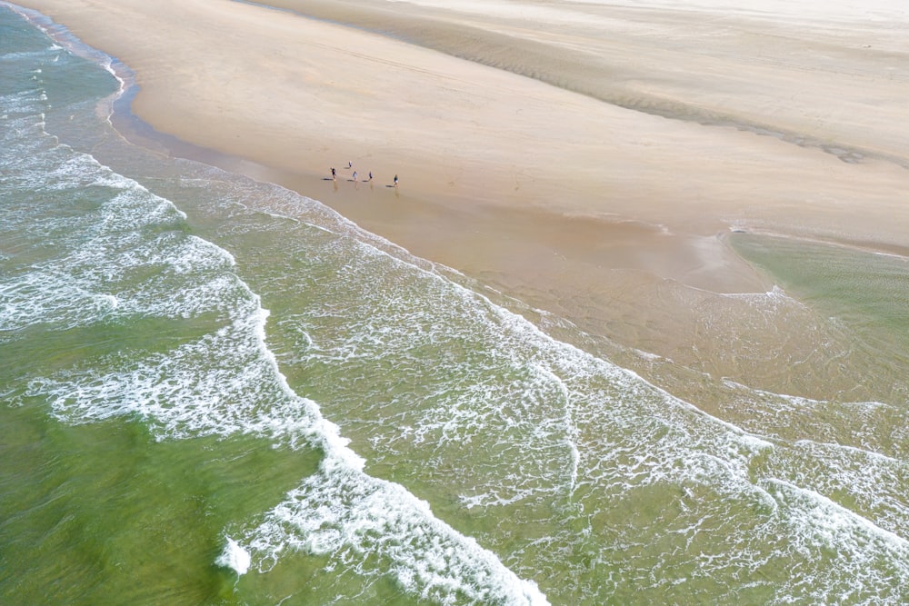 a group of people walking on a beach