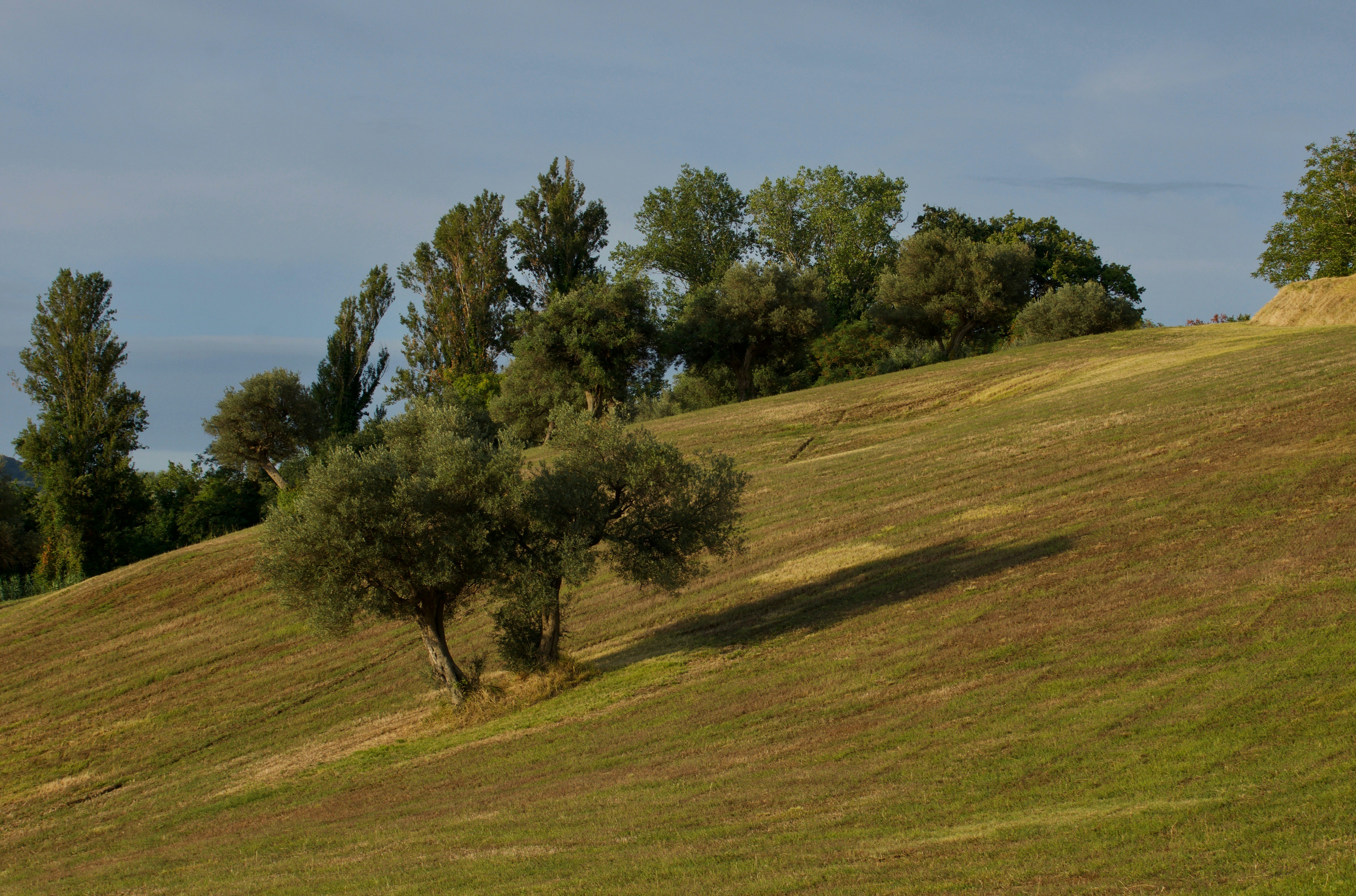 Photo by mariobeducci