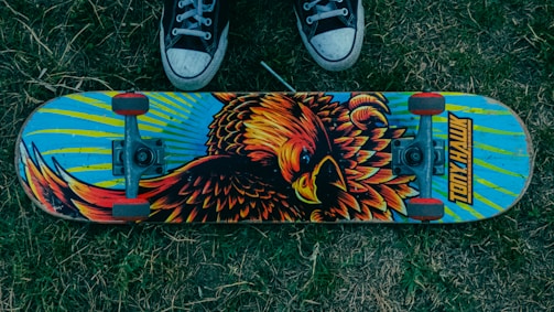 A skateboard with a vibrant, artistic design featuring a large, colorful bird is lying on grass. The board has a blue background with yellow, orange, and black details. Above the skateboard, a pair of black and white sneakers are visible, suggesting a skater standing nearby.