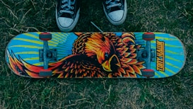 A skateboard with a vibrant, artistic design featuring a large, colorful bird is lying on grass. The board has a blue background with yellow, orange, and black details. Above the skateboard, a pair of black and white sneakers are visible, suggesting a skater standing nearby.