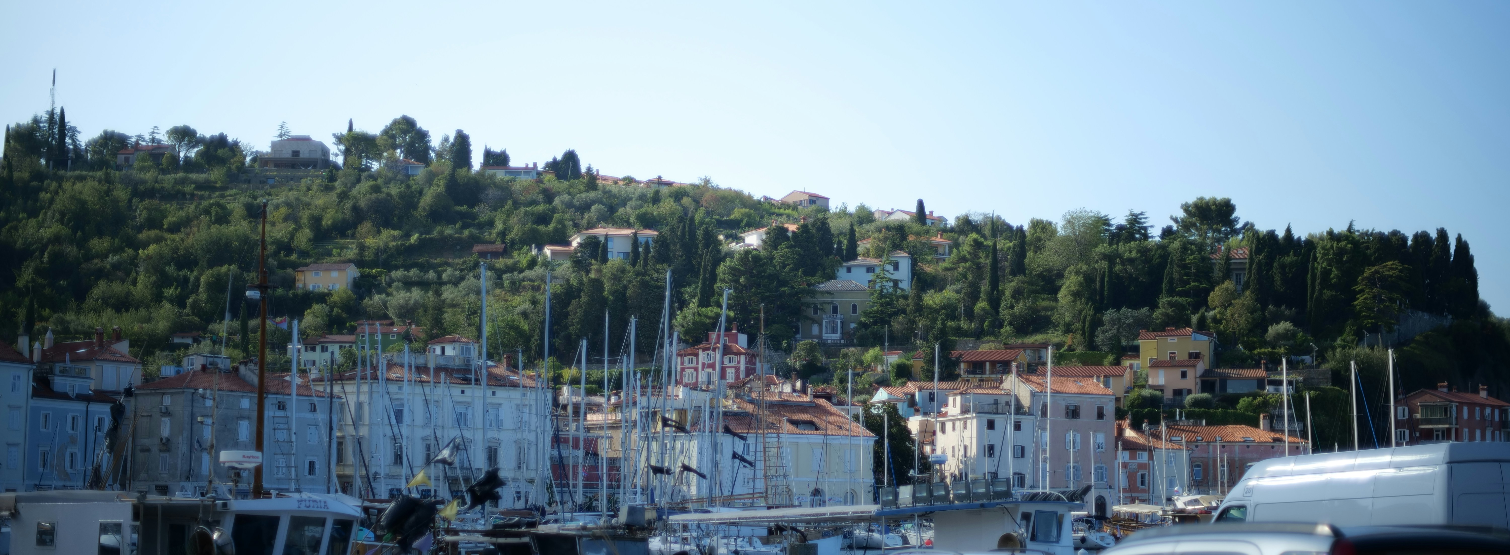 a city with trees and buildings