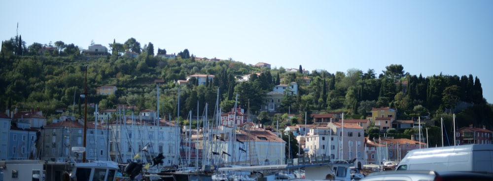 a city with trees and buildings