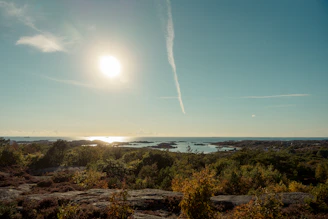 A high-resolution photo capturing a serene landscape with soft natural light.