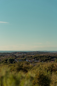 A serene view of a small town with charming houses and lush greenery under a clear blue sky.