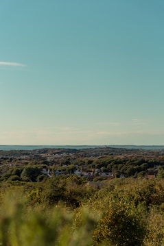 A picturesque landscape with a view of a small town nestled among dense greenery. The town consists of numerous houses with various rooftops, blending naturally with the surrounding trees. The horizon stretches into the distance with a clear blue sky overhead.