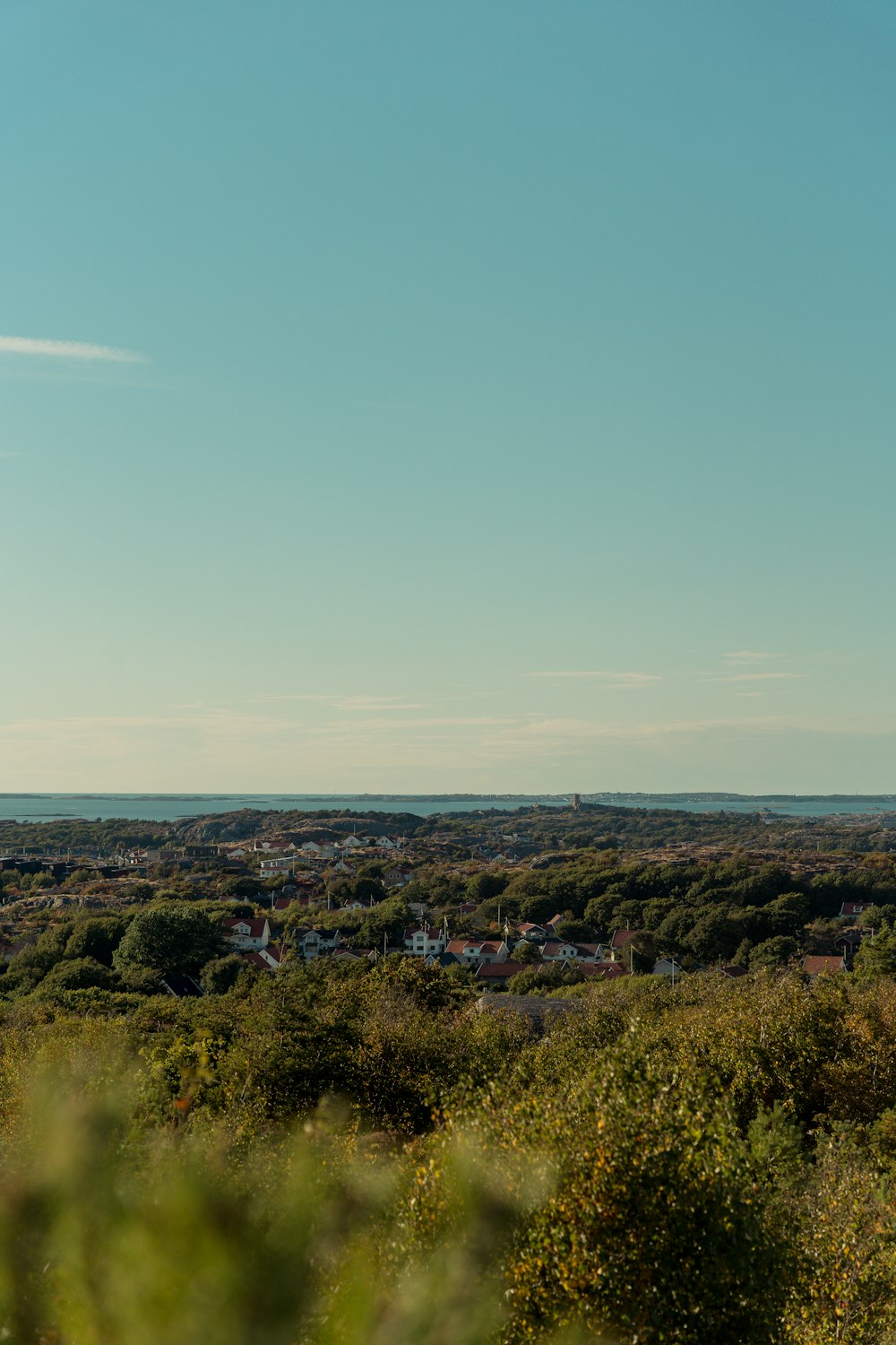 a landscape with trees and houses