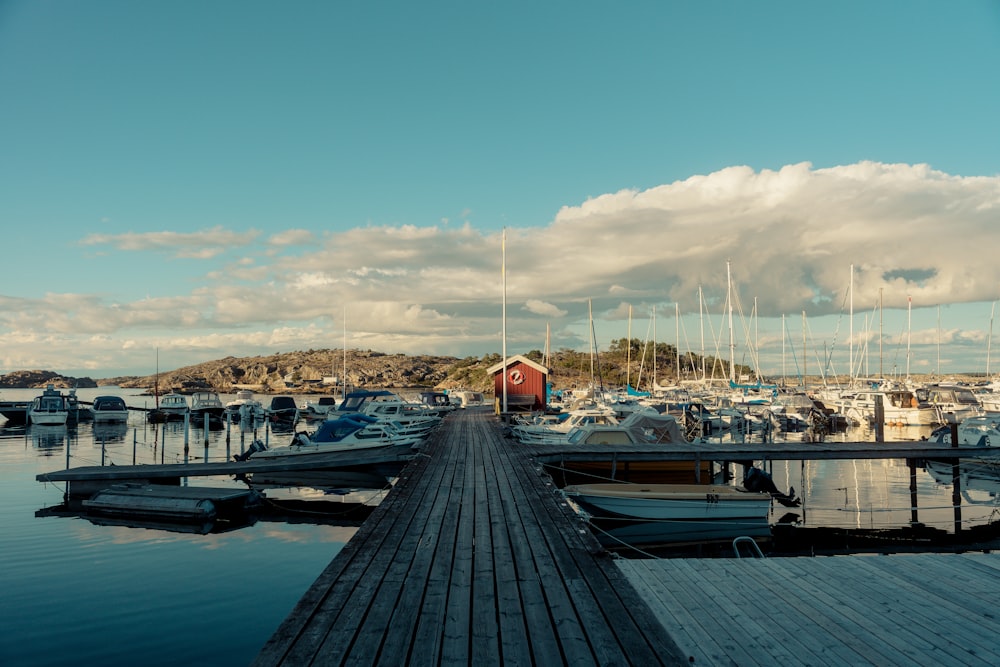 a dock with boats