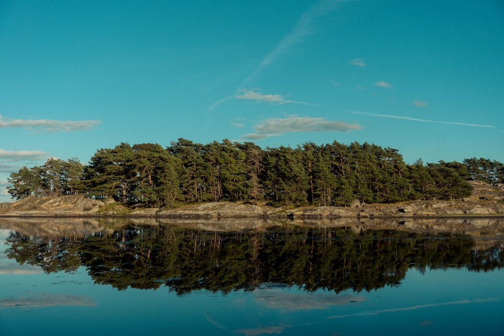 a body of water with trees on the side