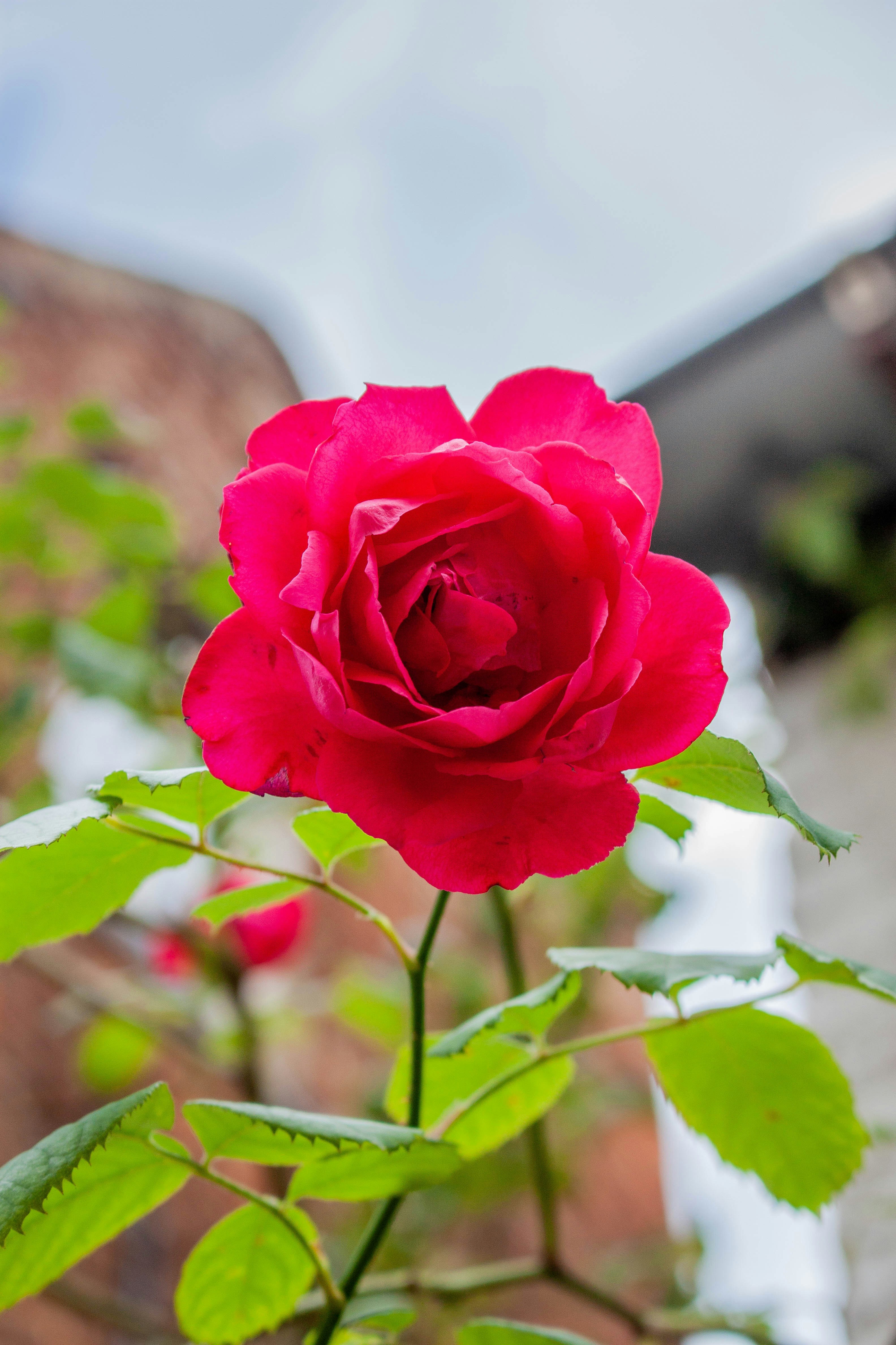 Photo by kamillaisalieva