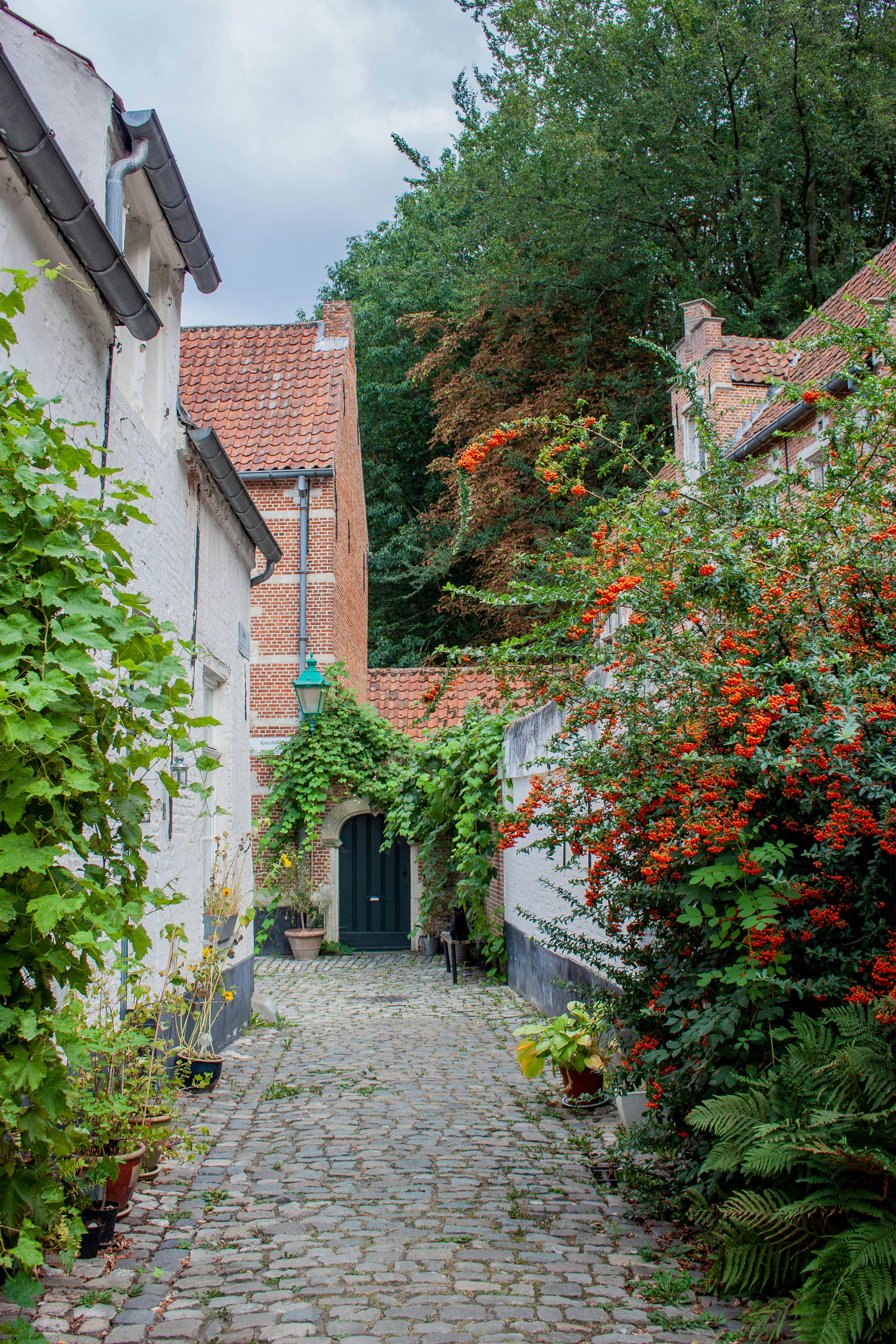 A brick path between buildings photo – Free Plant Image on Unsplash