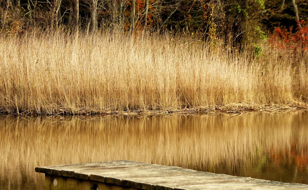 a wooden dock over a body of water
