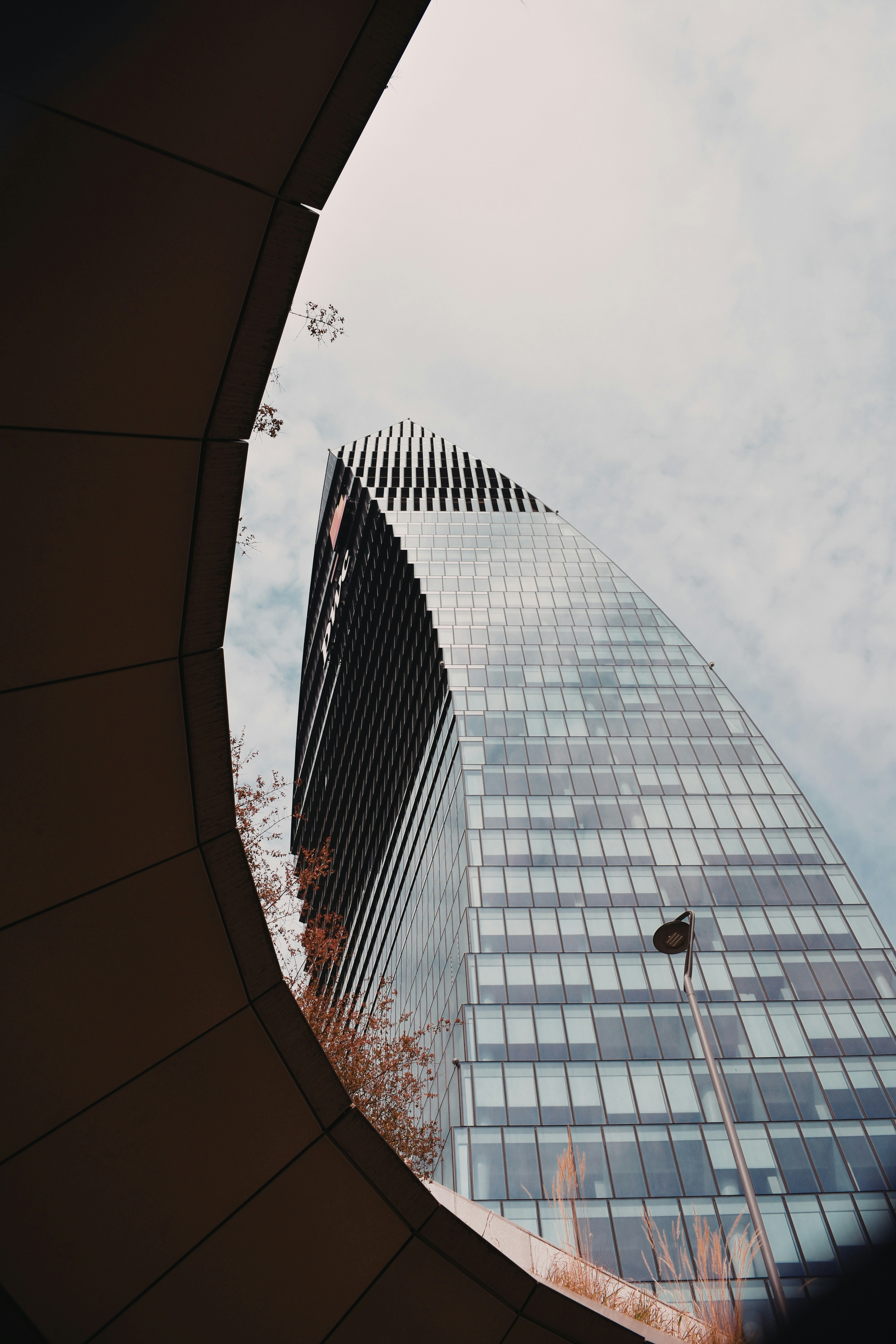 Photo by thisislorenzjpg