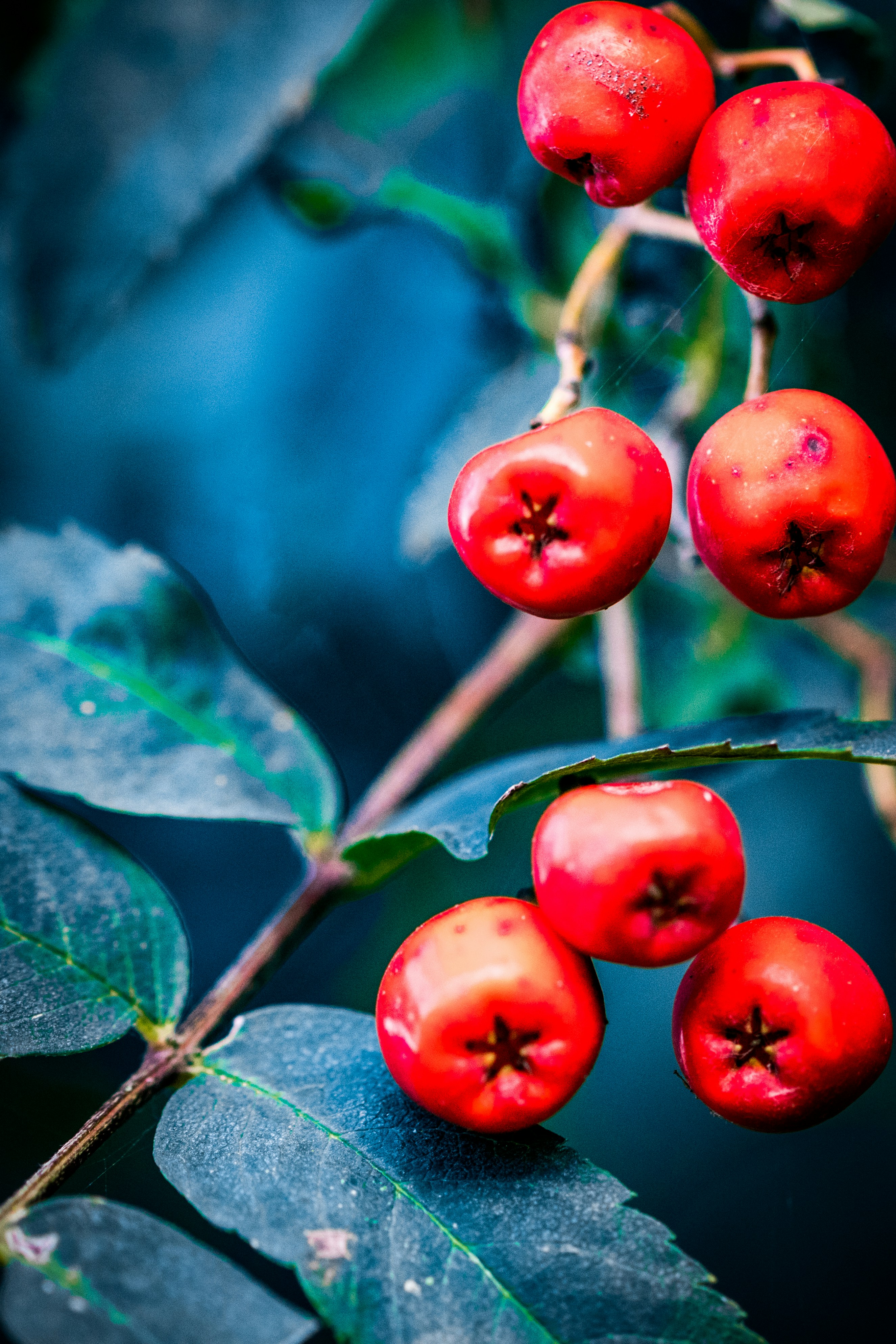 Photo by kasiamizeradief