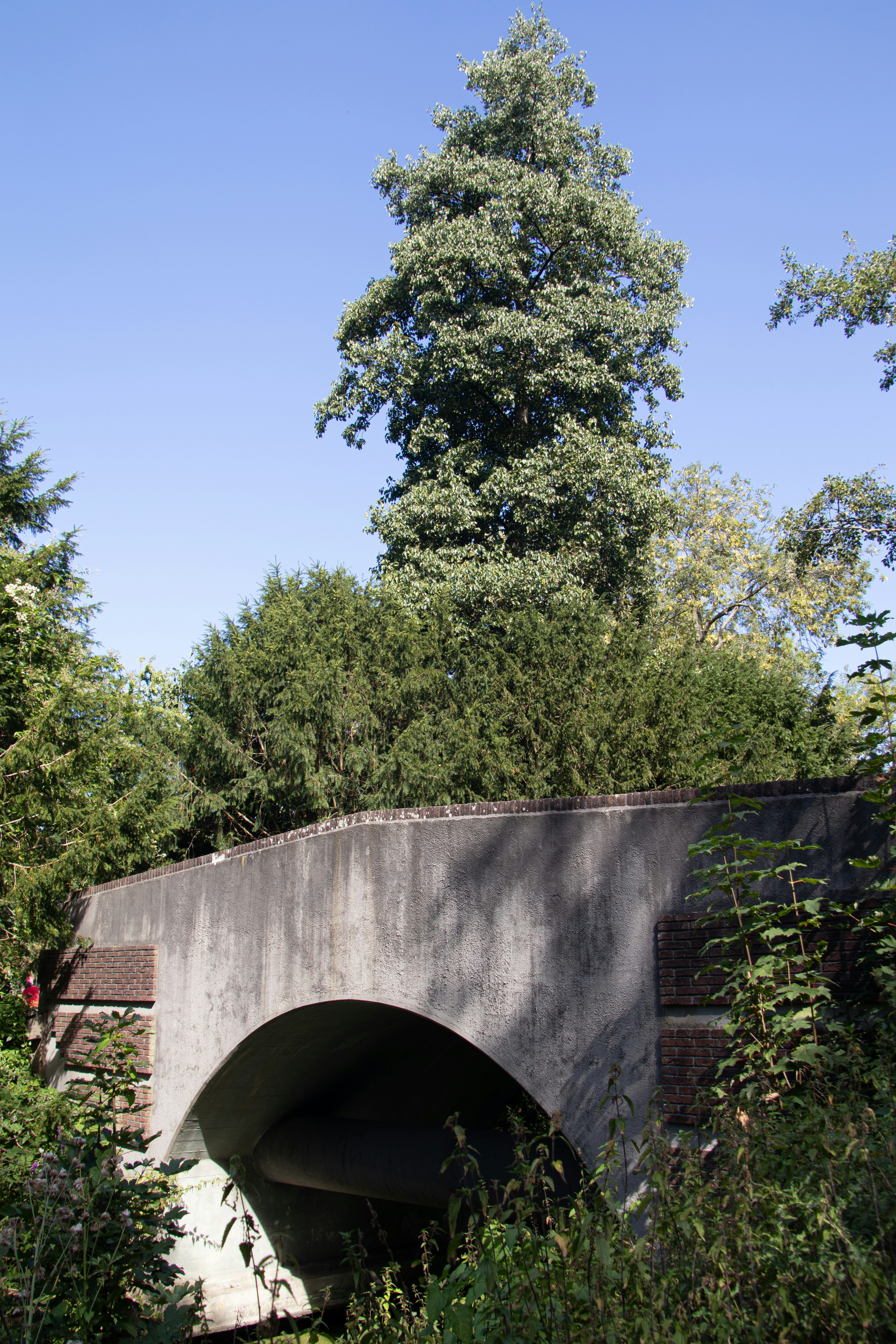 Photo by kasiamizeradief