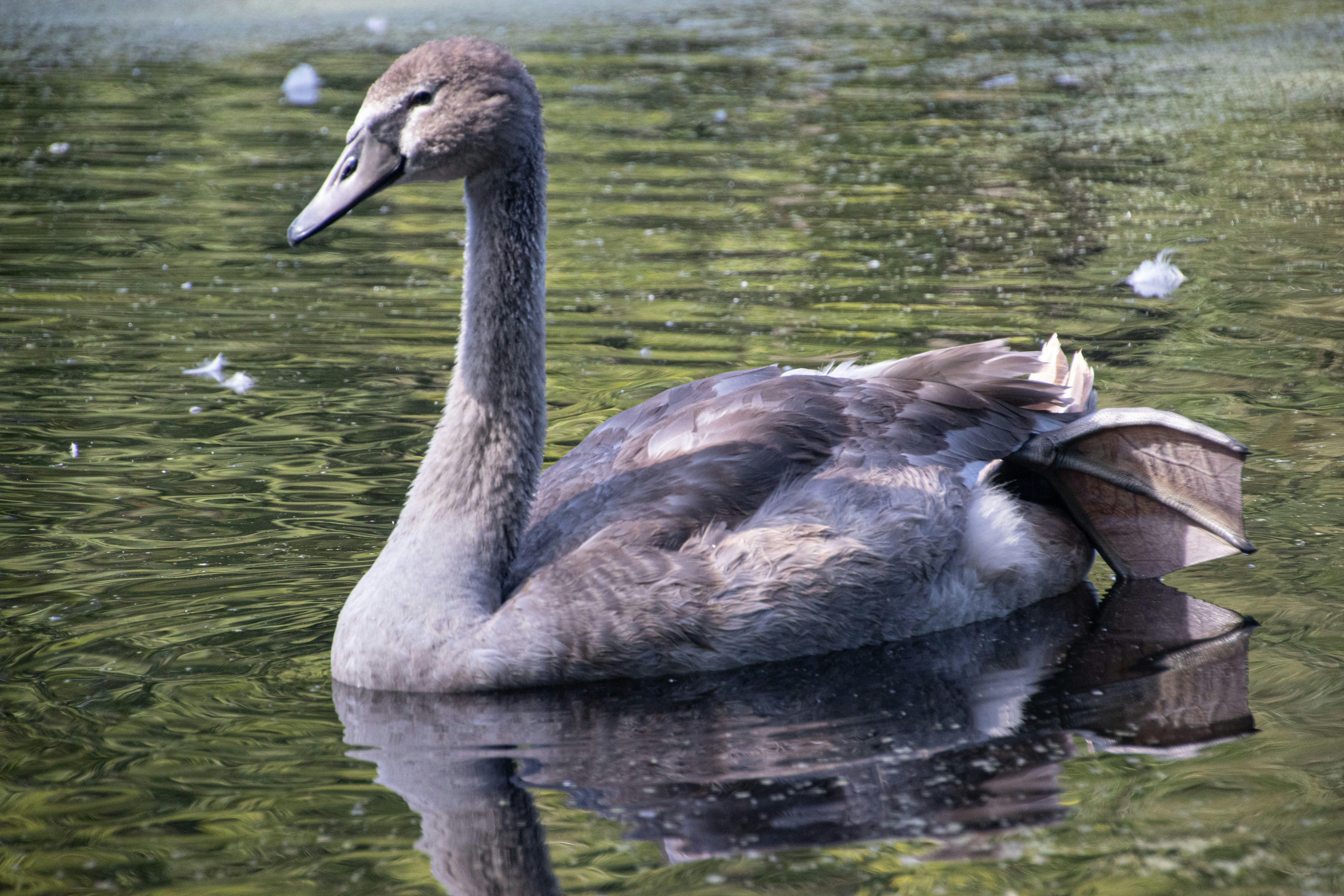 Photo by kasiamizeradief