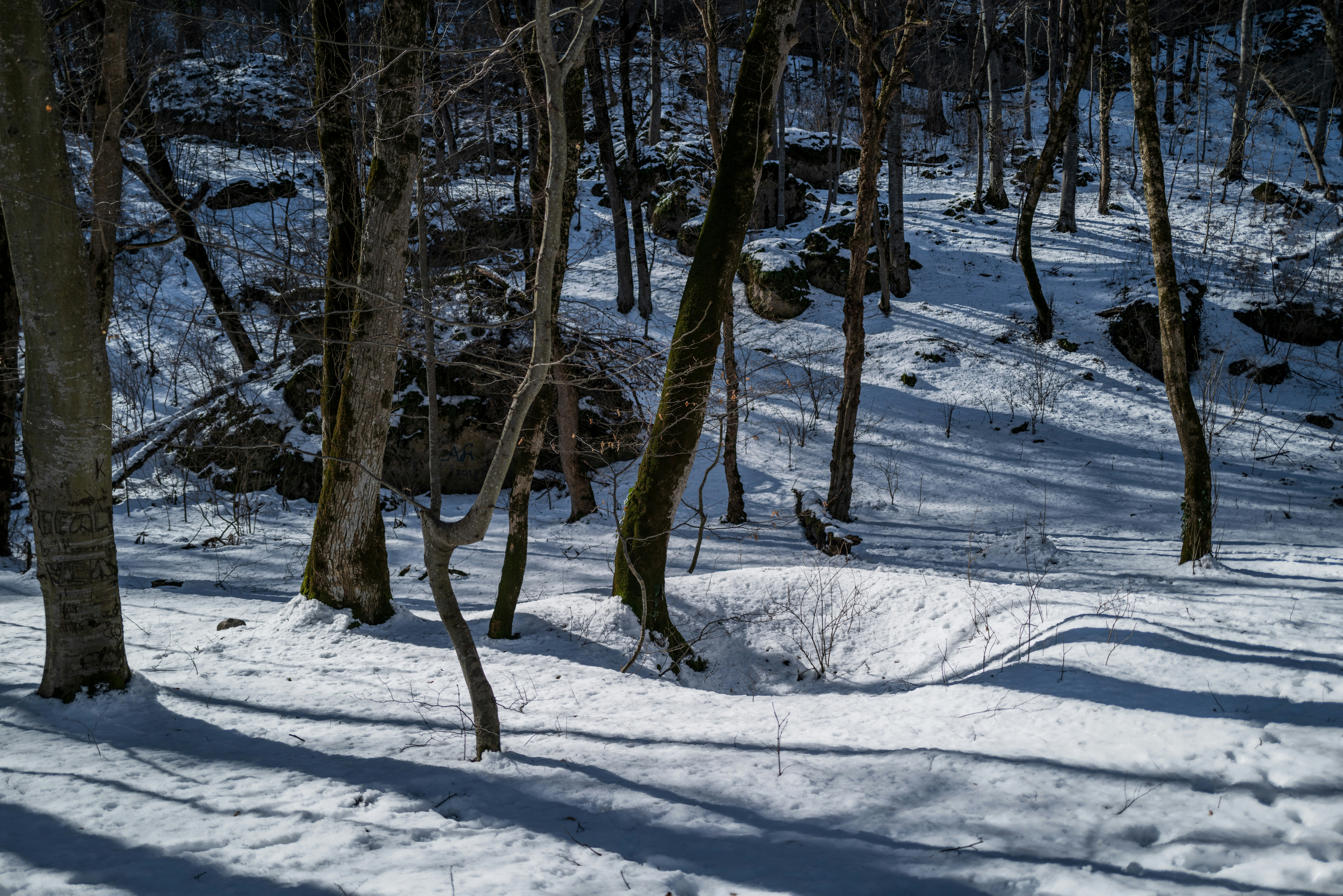 Photo by prokhorov