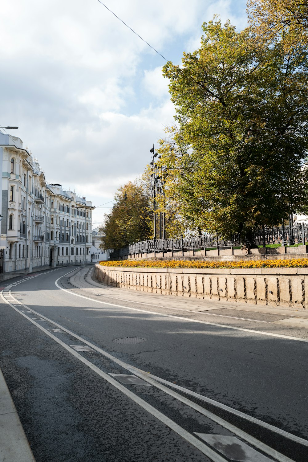 a road with trees and buildings on the side