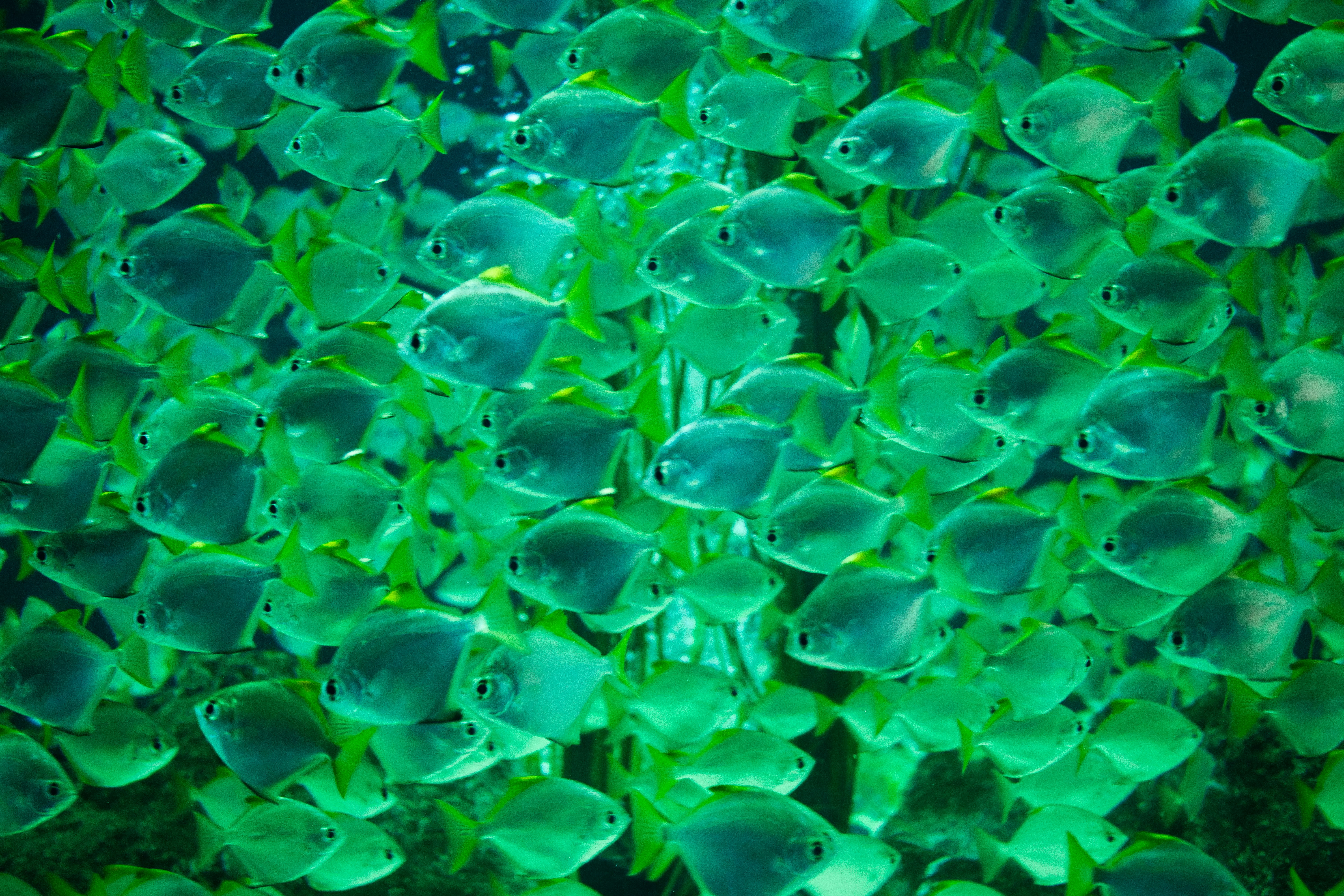 Photo by maksimshutov