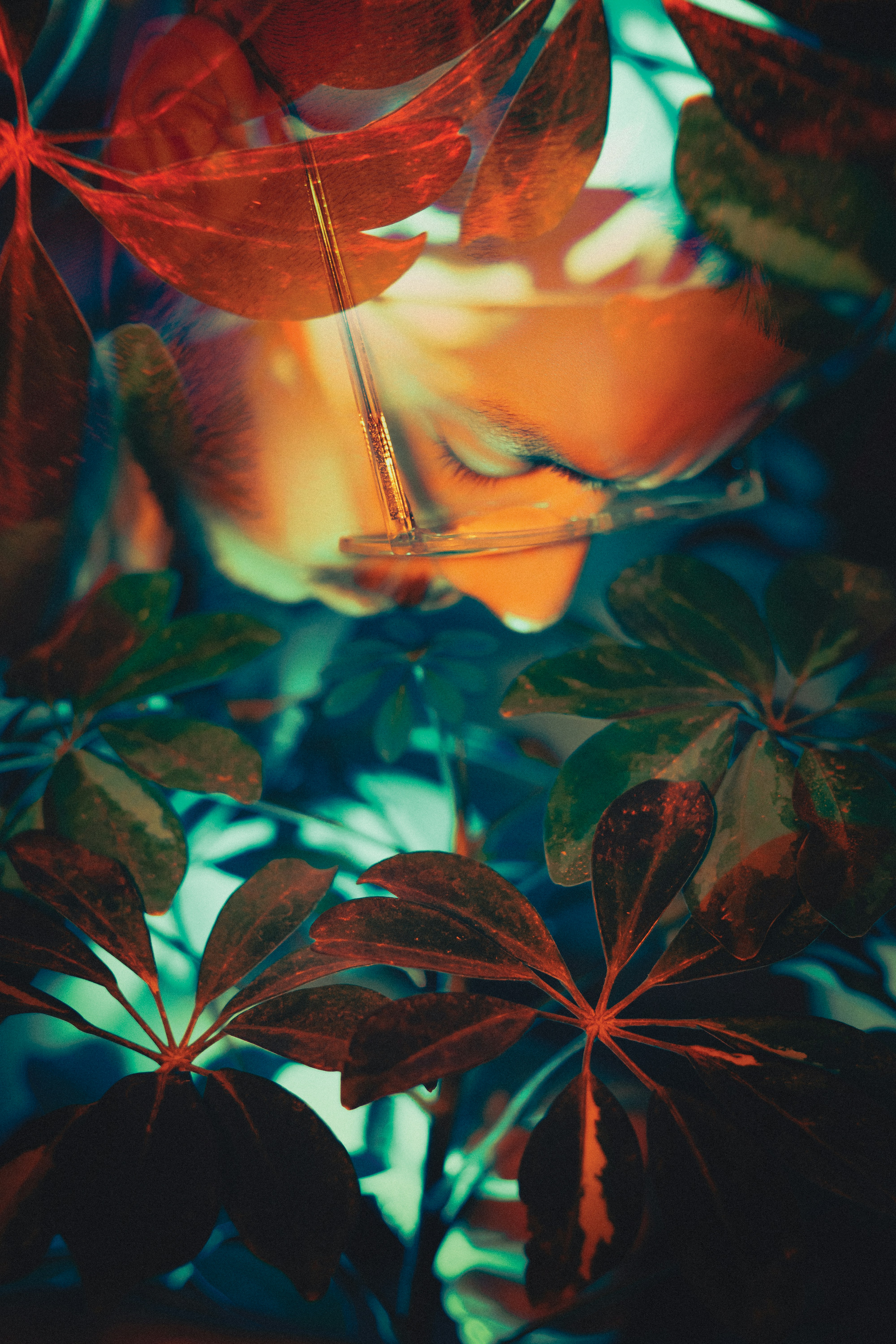 Photo by mahdibafande