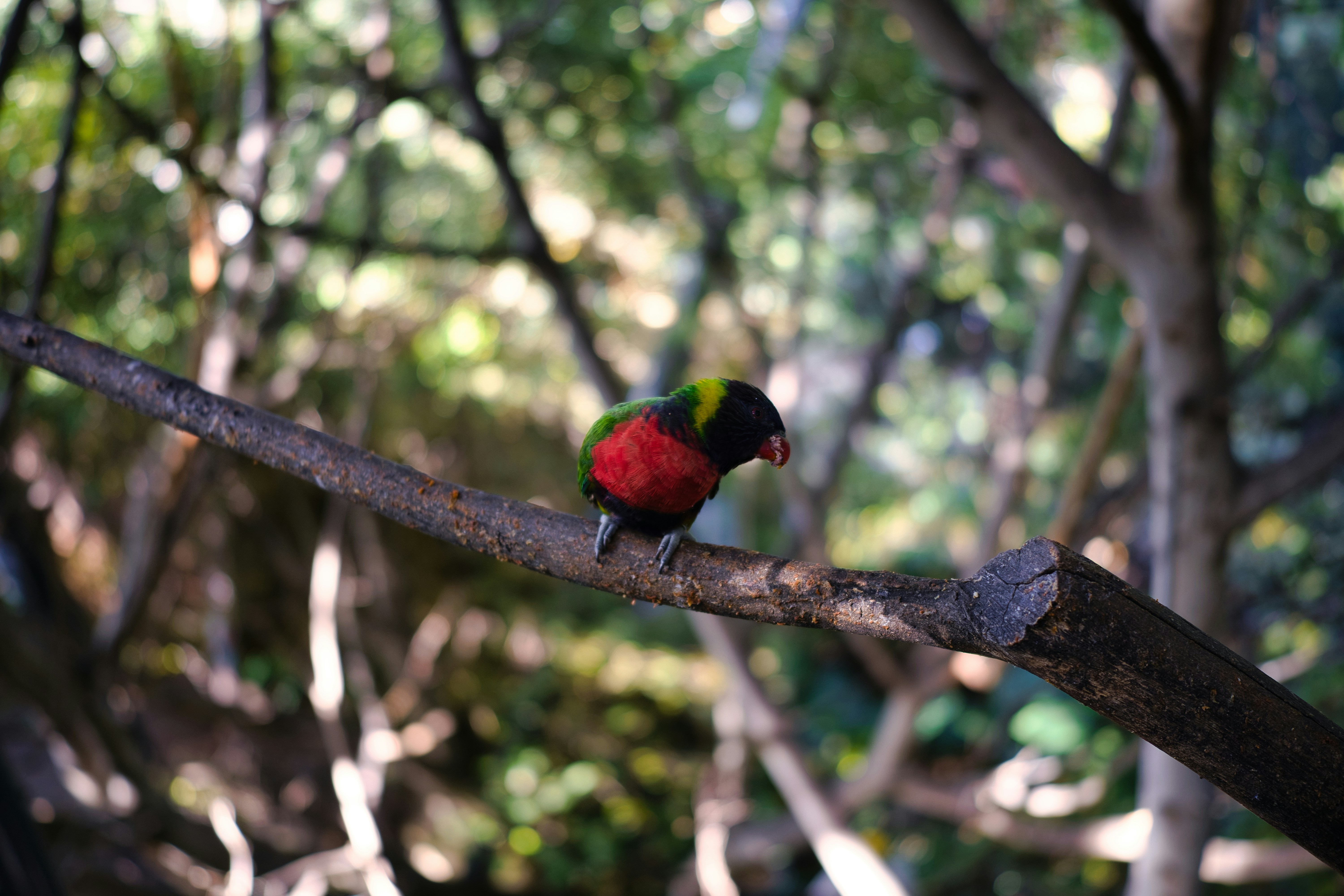 Photo by maksimshutov