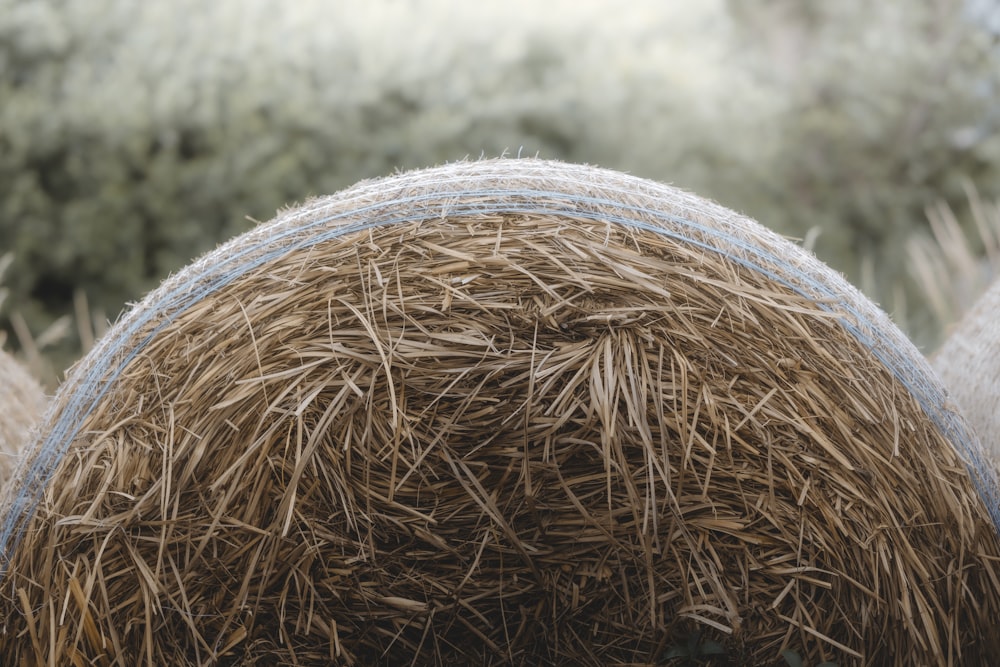 a close up of a wicker basket
