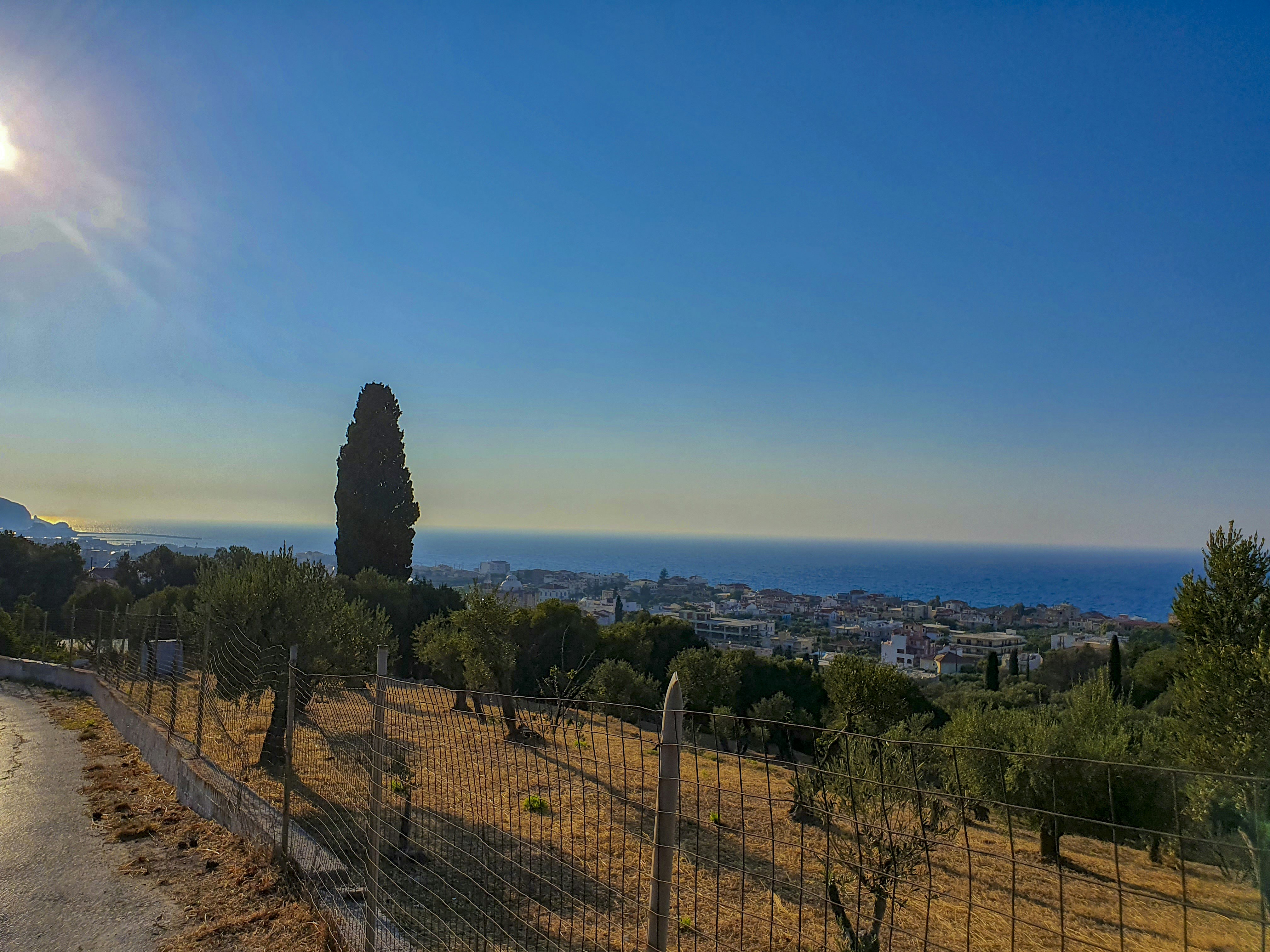 A fenced in area with trees and a city in the background