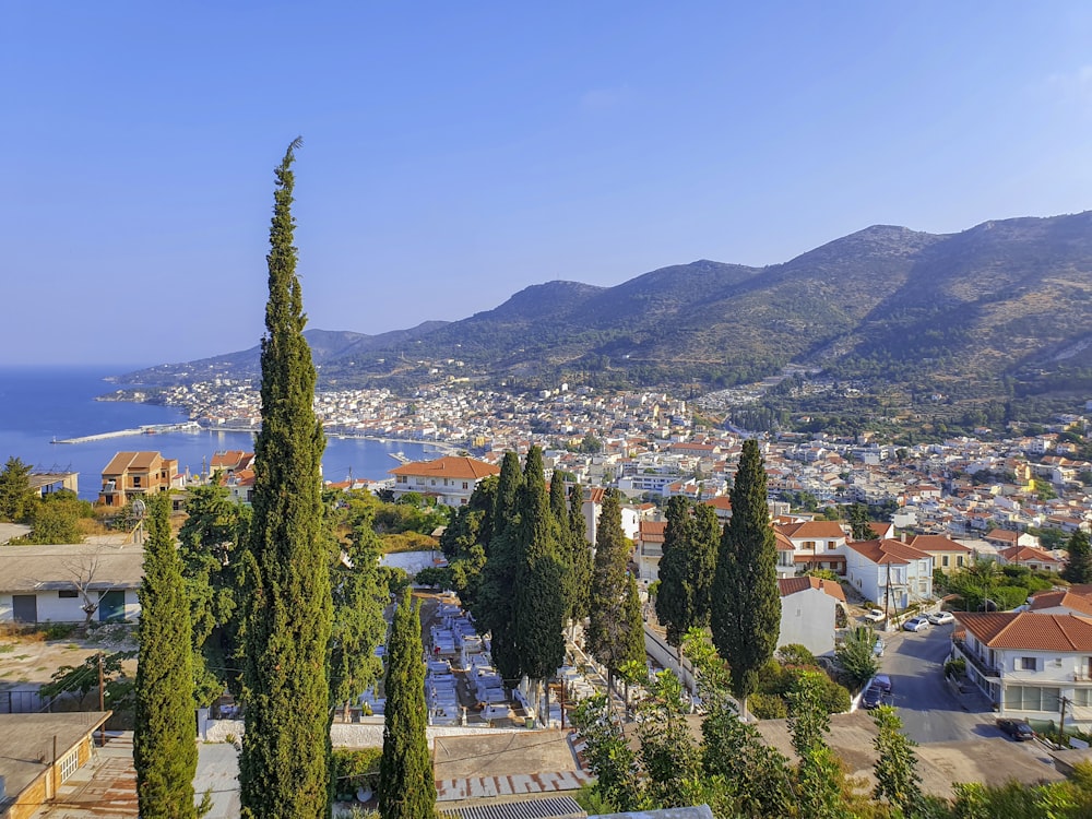 Una città con alberi e montagne sullo sfondo