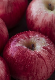 Close-up of ripe, dew-kissed apples arranged in rows, highlighting quality and freshness.