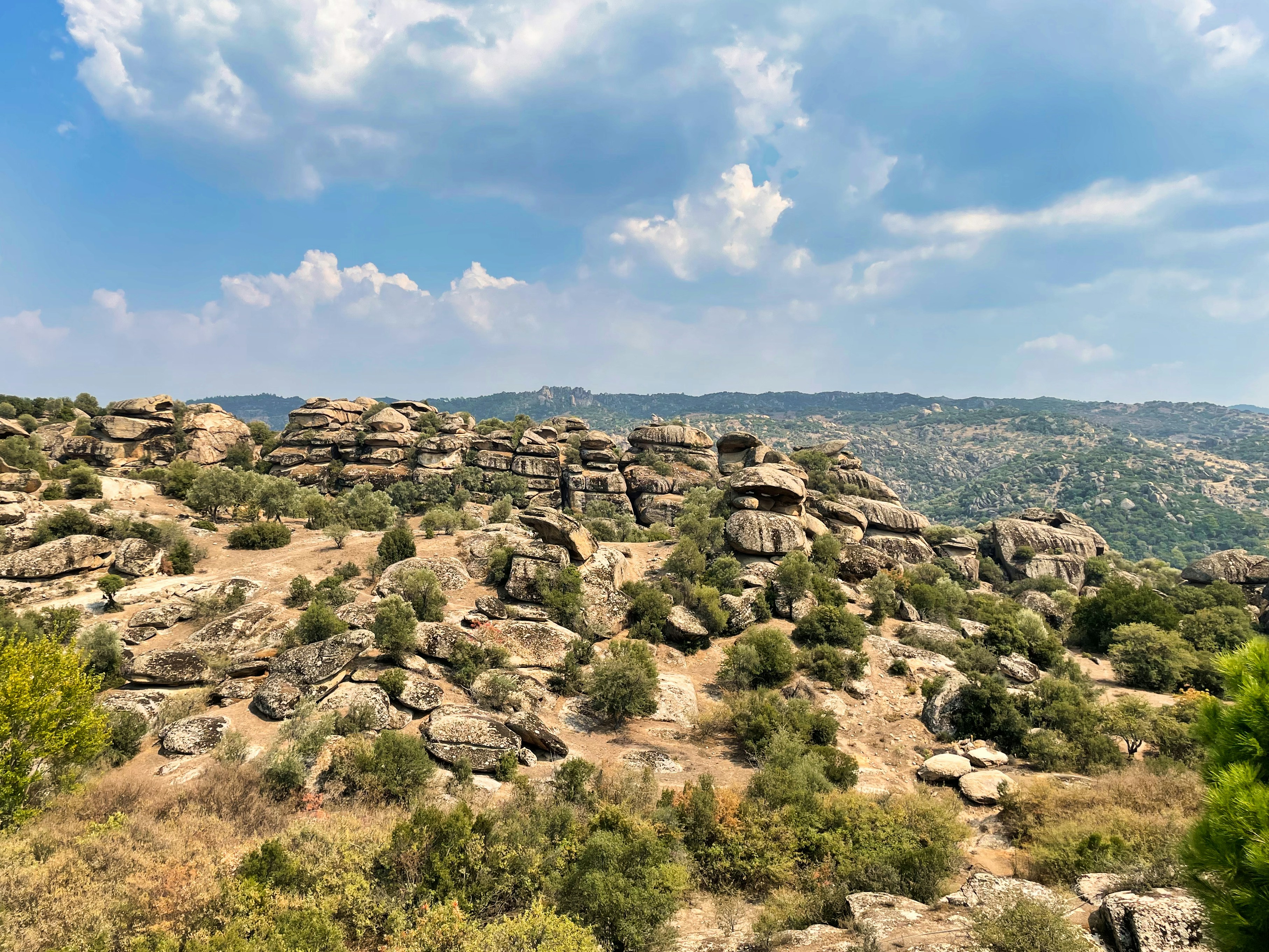 eine felsige Landschaft mit Bäumen und Sträuchern