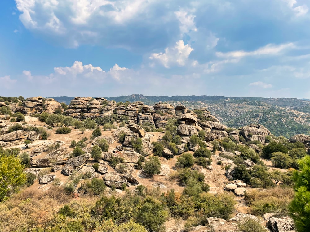 a rocky landscape with trees and bushes