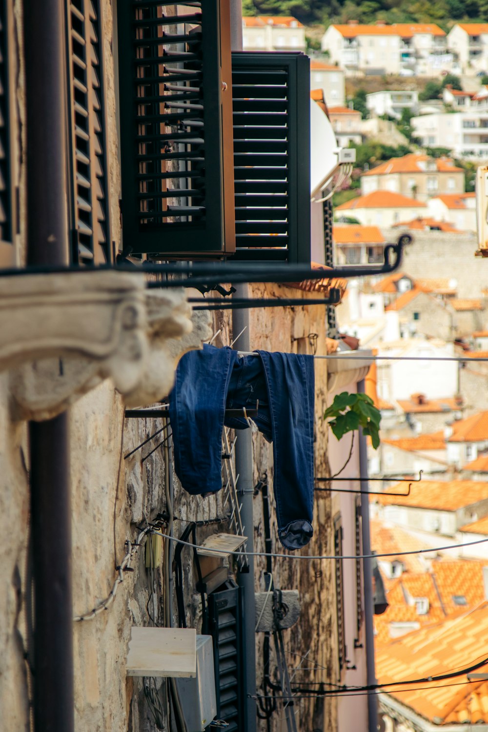 clothes on a line