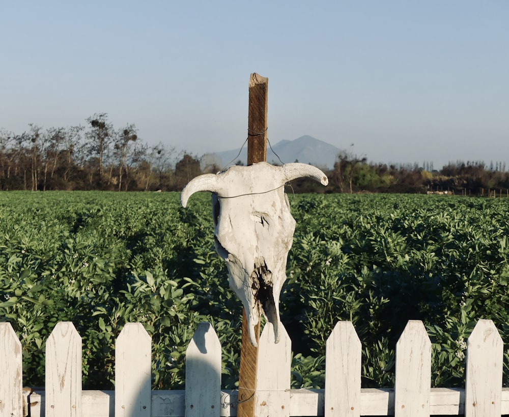 una statua di un animale su una recinzione