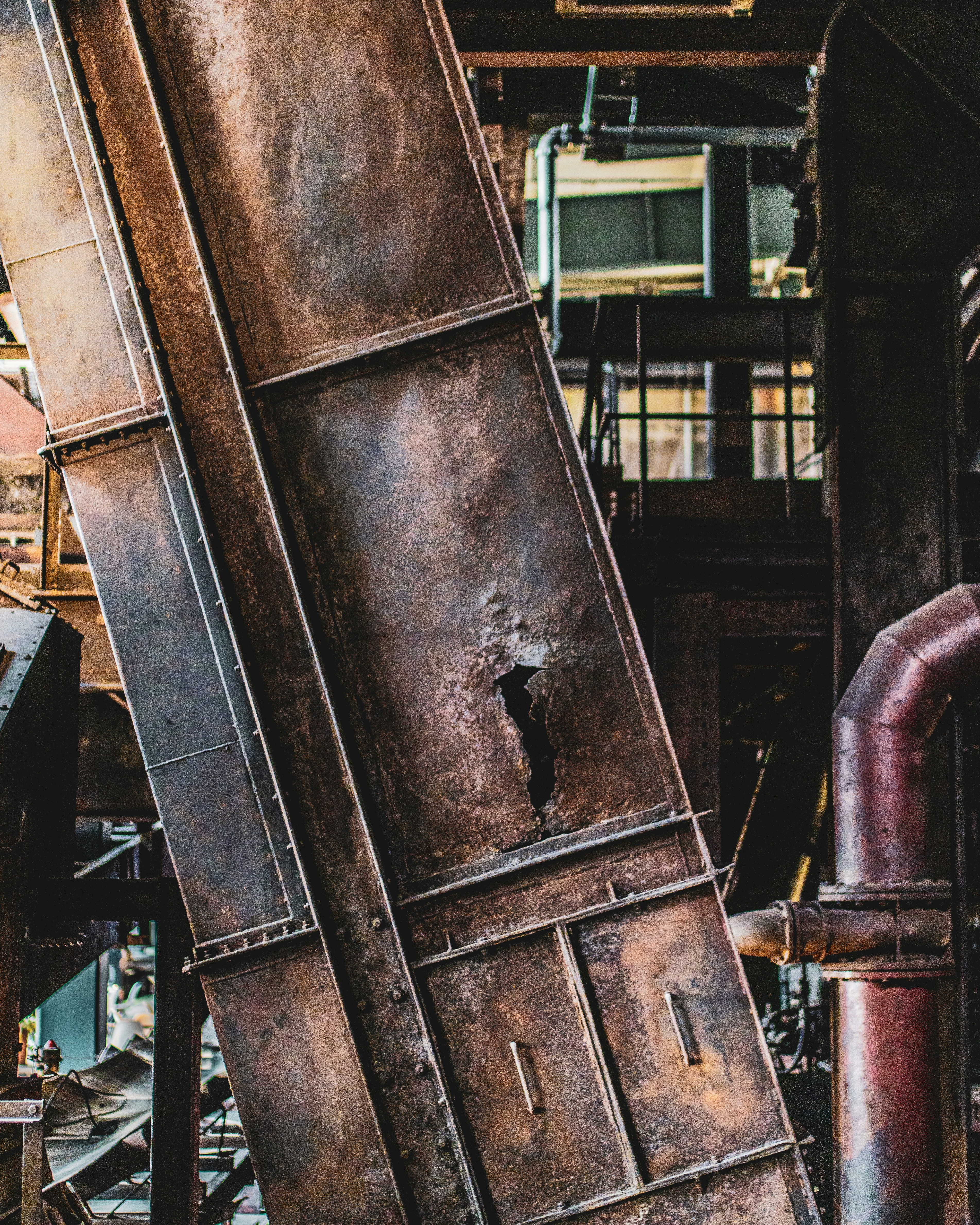 Photo by danielesteves