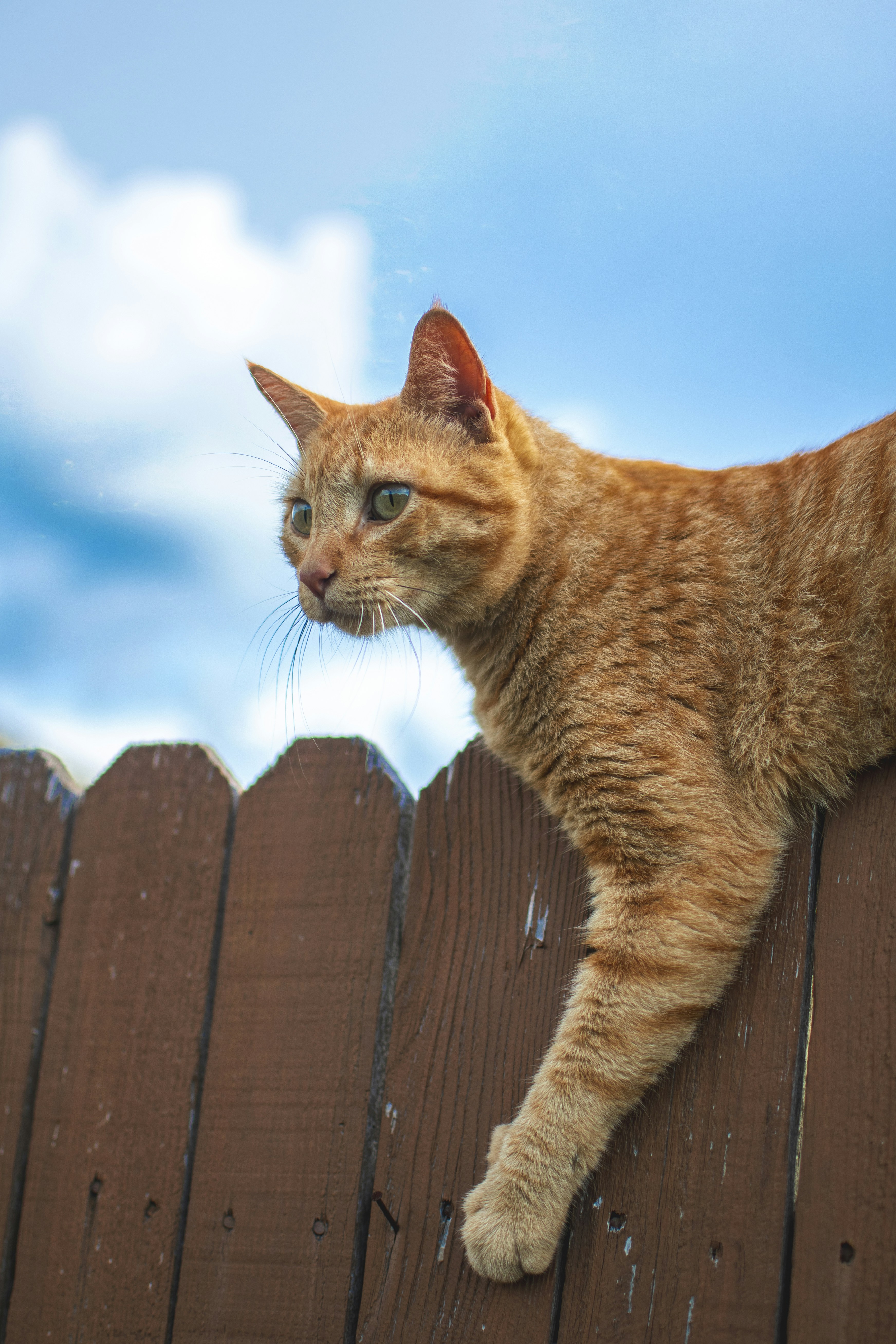 Photo by gabrielrana