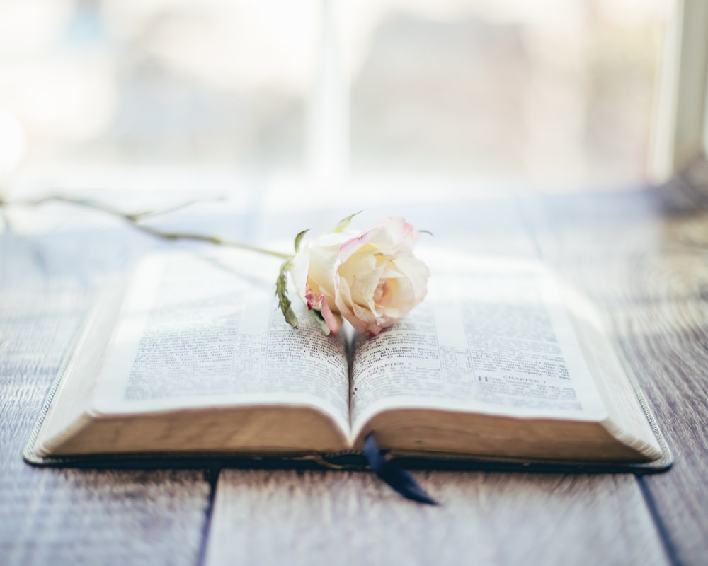 a book with a flower on it