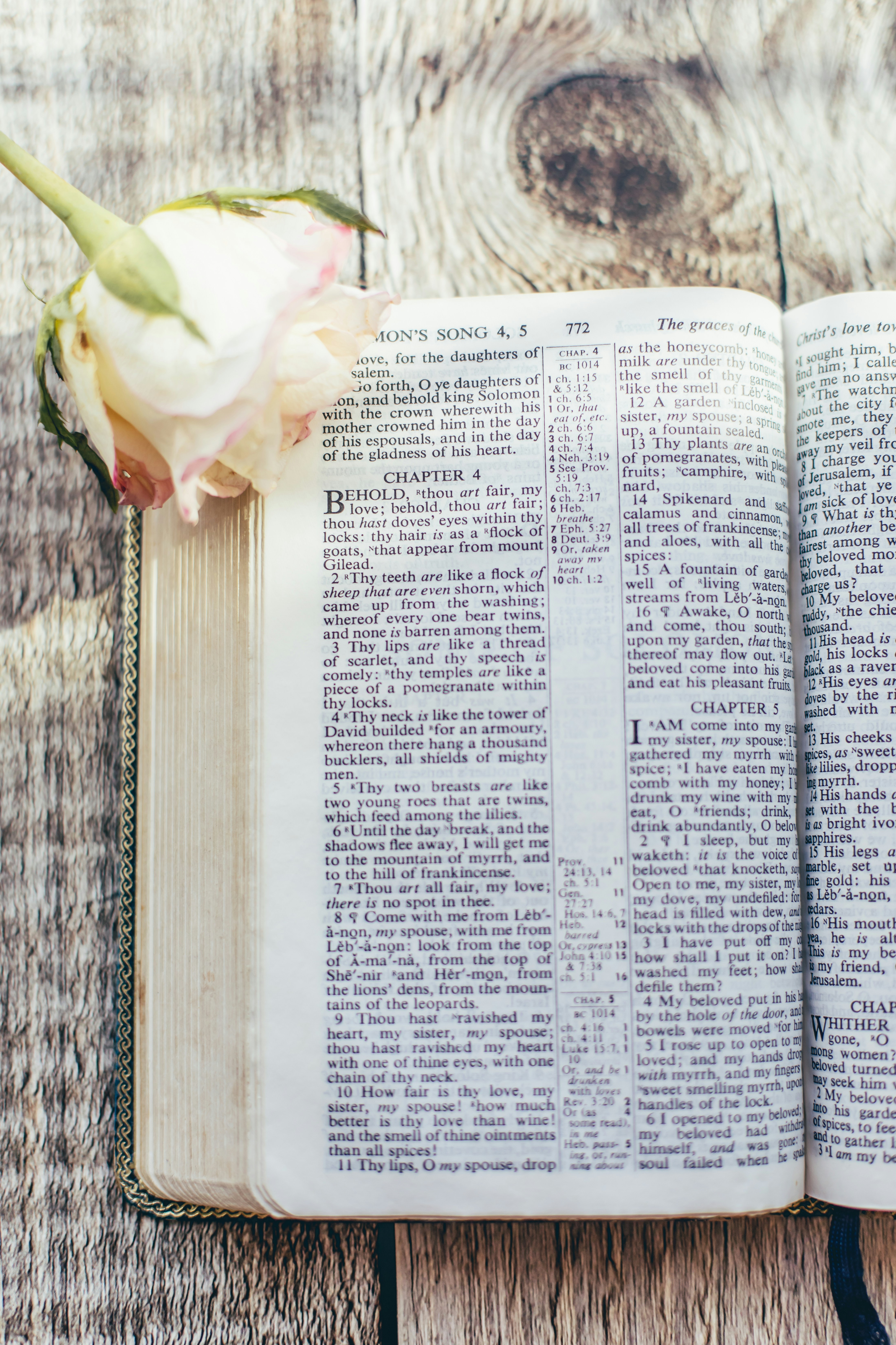 Photo by sixteenmilesout