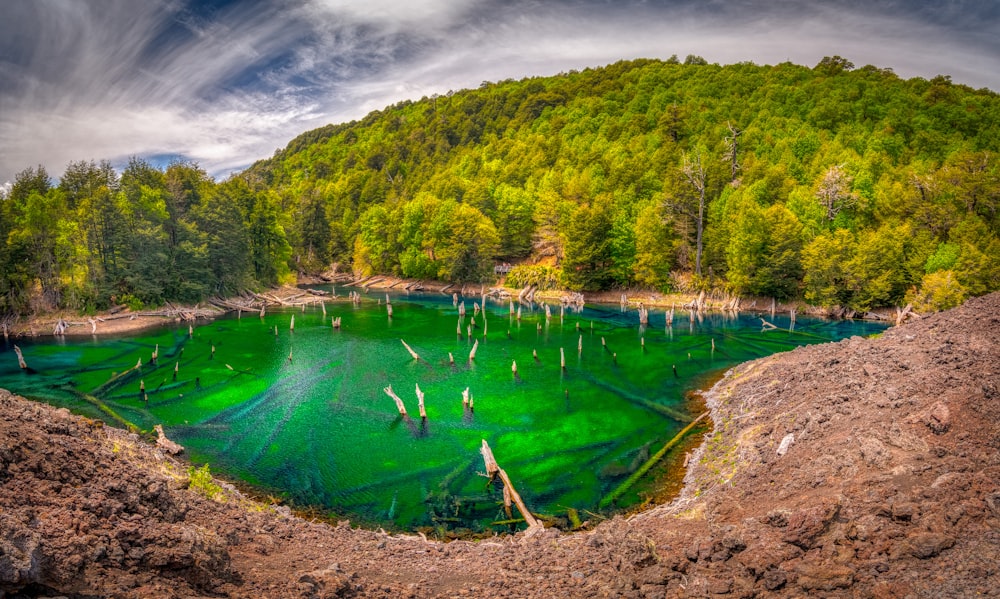 a lake surrounded by trees