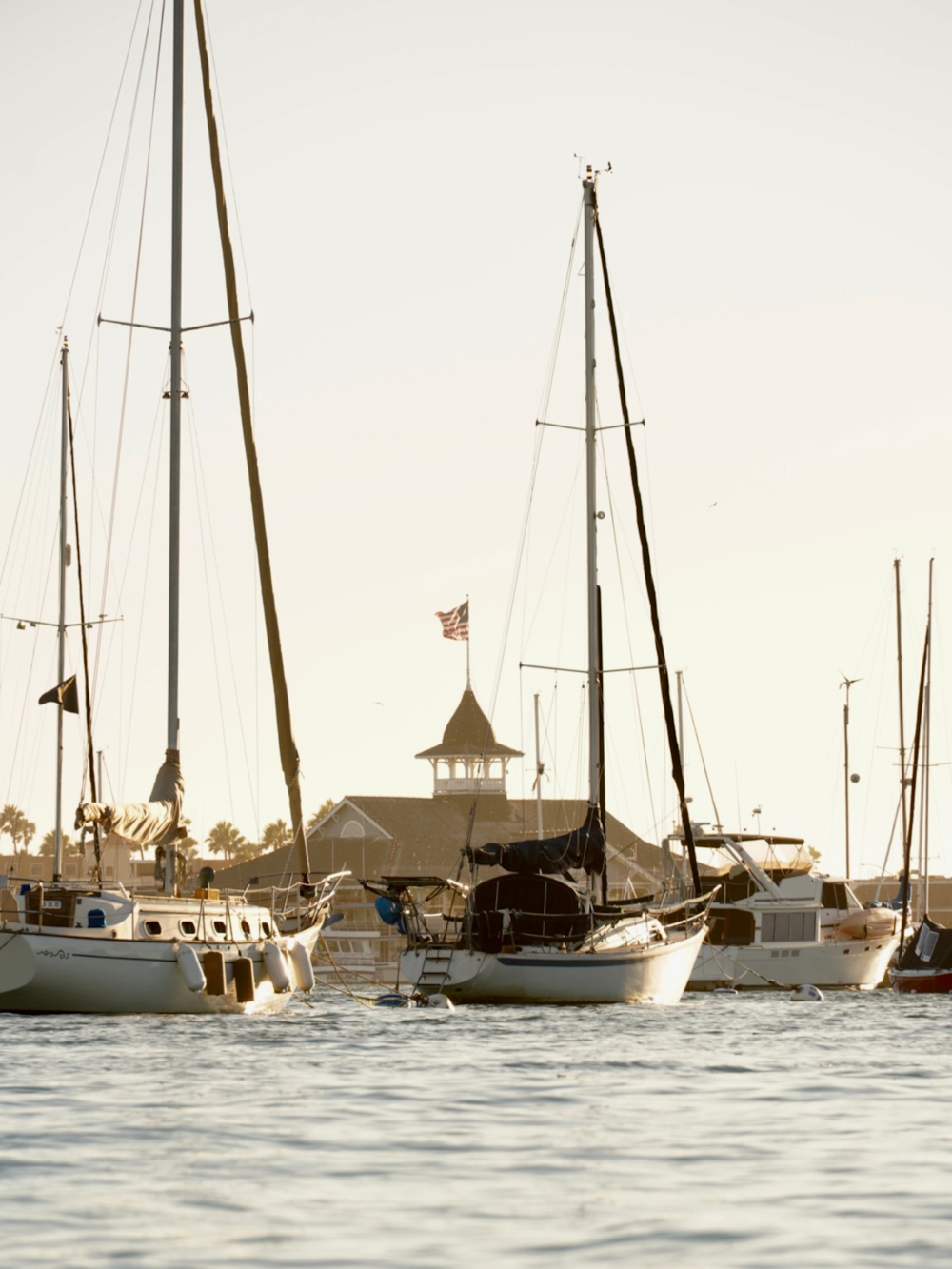 a group of boats in a harbor