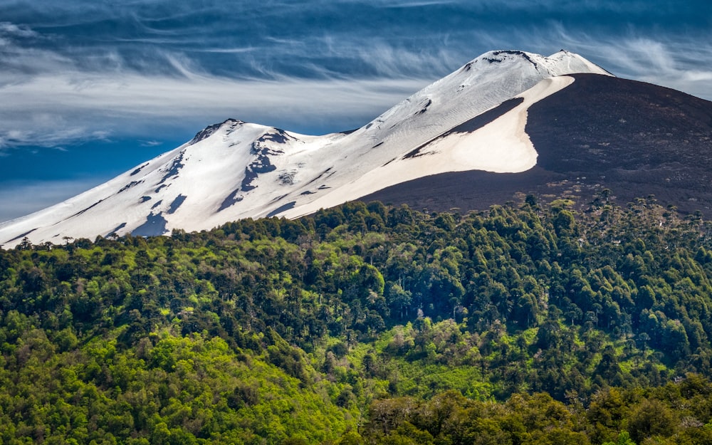 a mountain with trees below