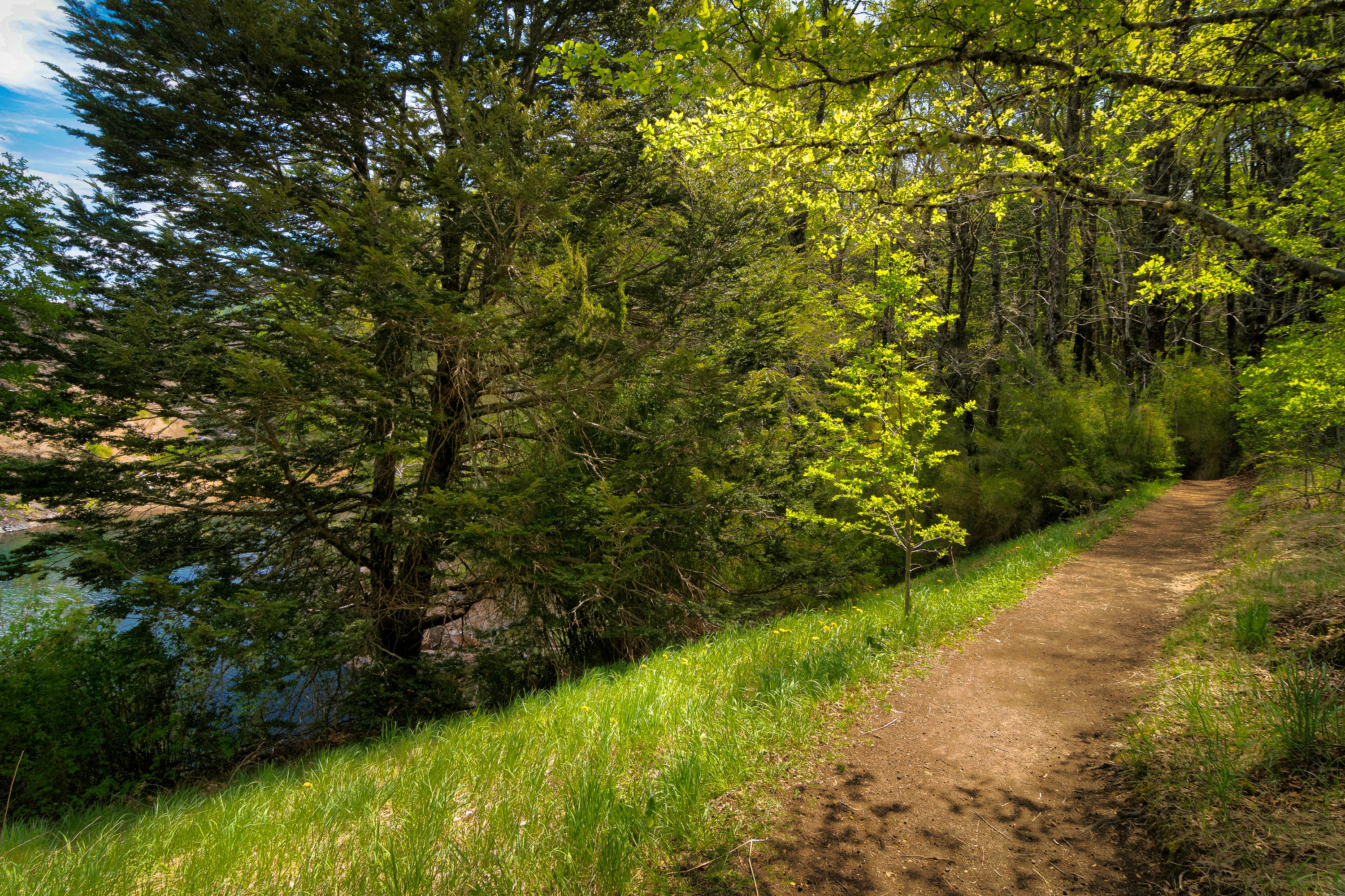 Photo by franz_nawrath