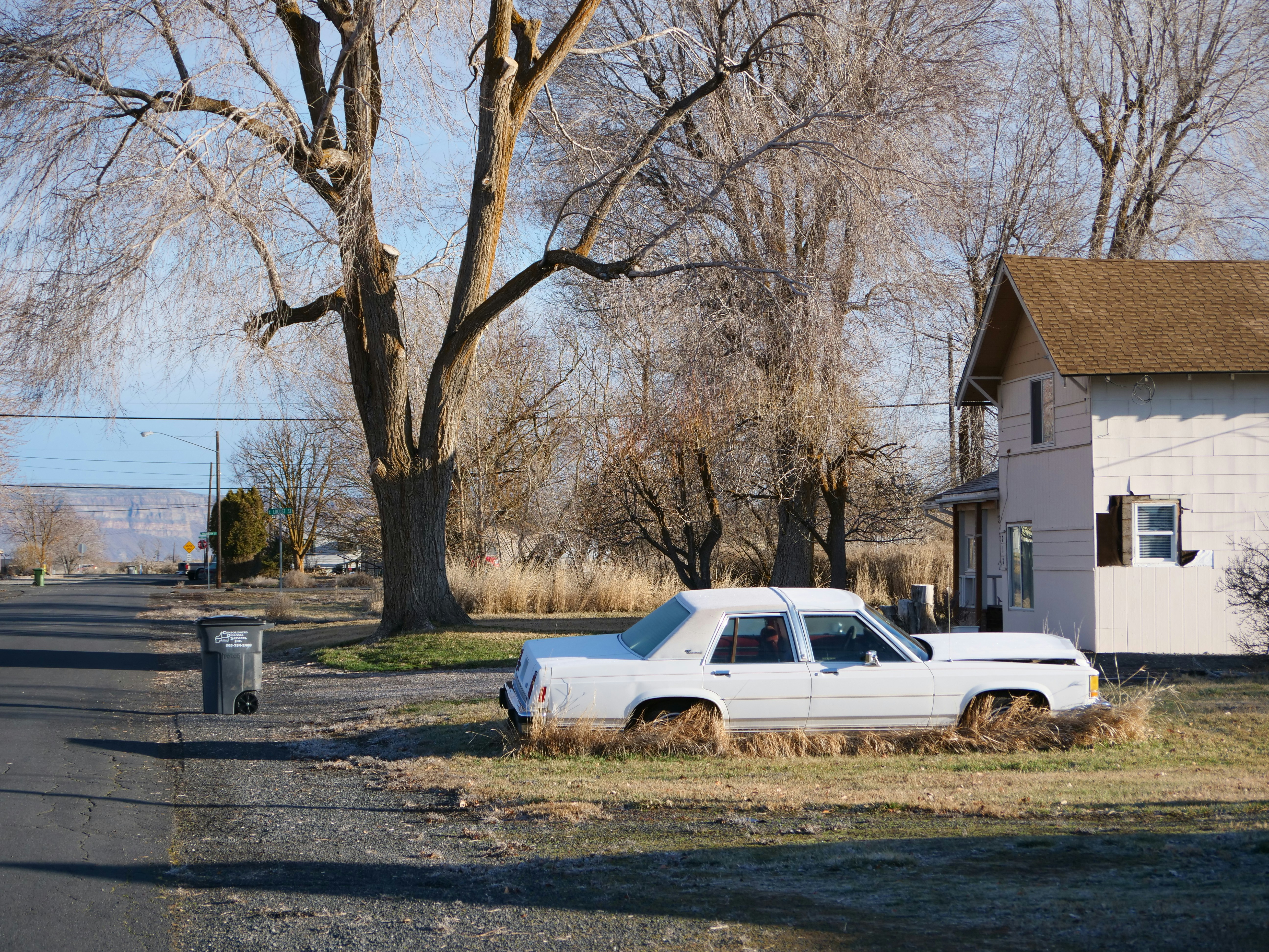 Cadillac Street Park